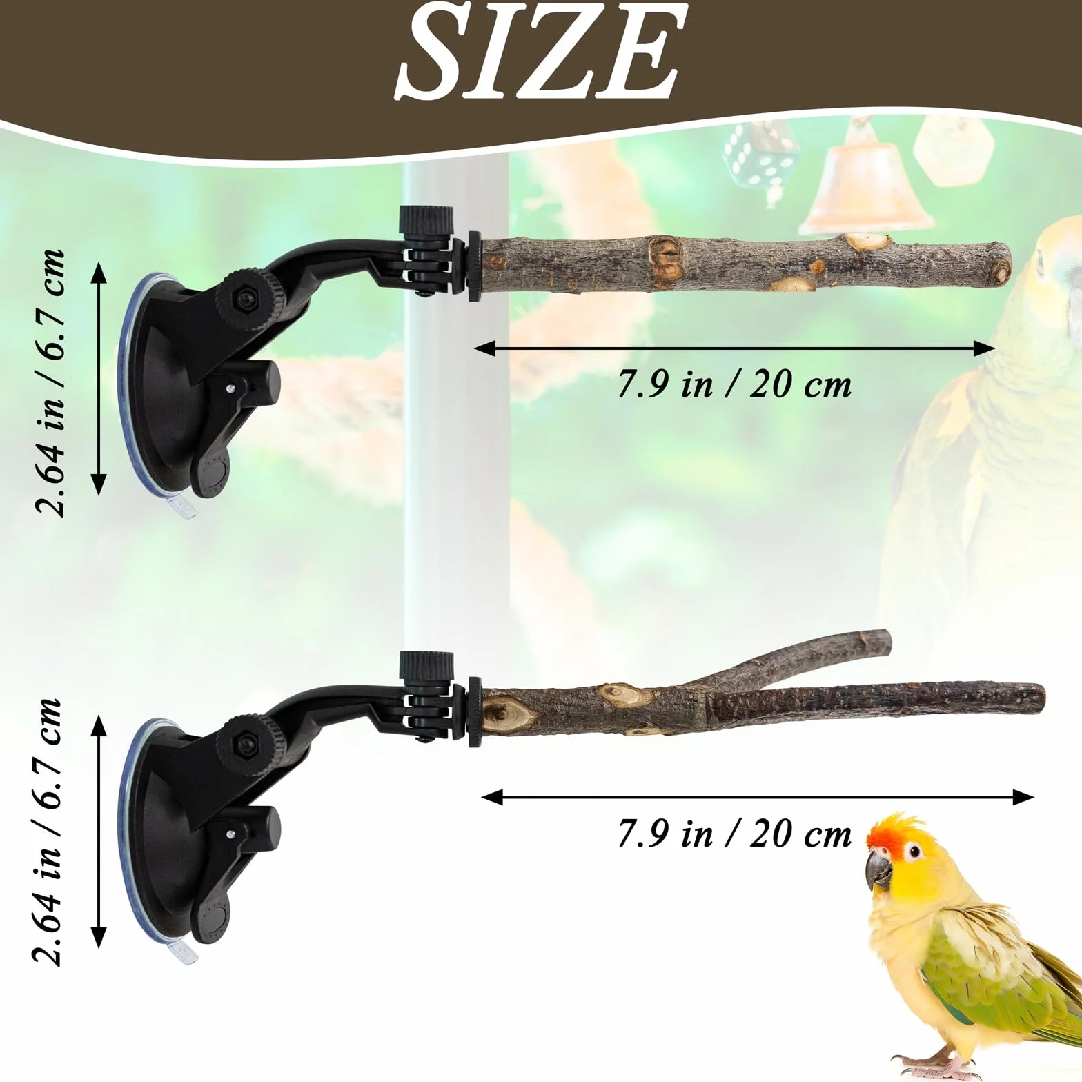 2 Pz Posatoi per Uccelli con Ventose Posatoi in Legno Ventosa Pieghevole Portatile Posatoi per Piccolo Medi Pappagalli per Finestra Doccia Bagno a Parete per Vasca da Bagno (25 cm)
