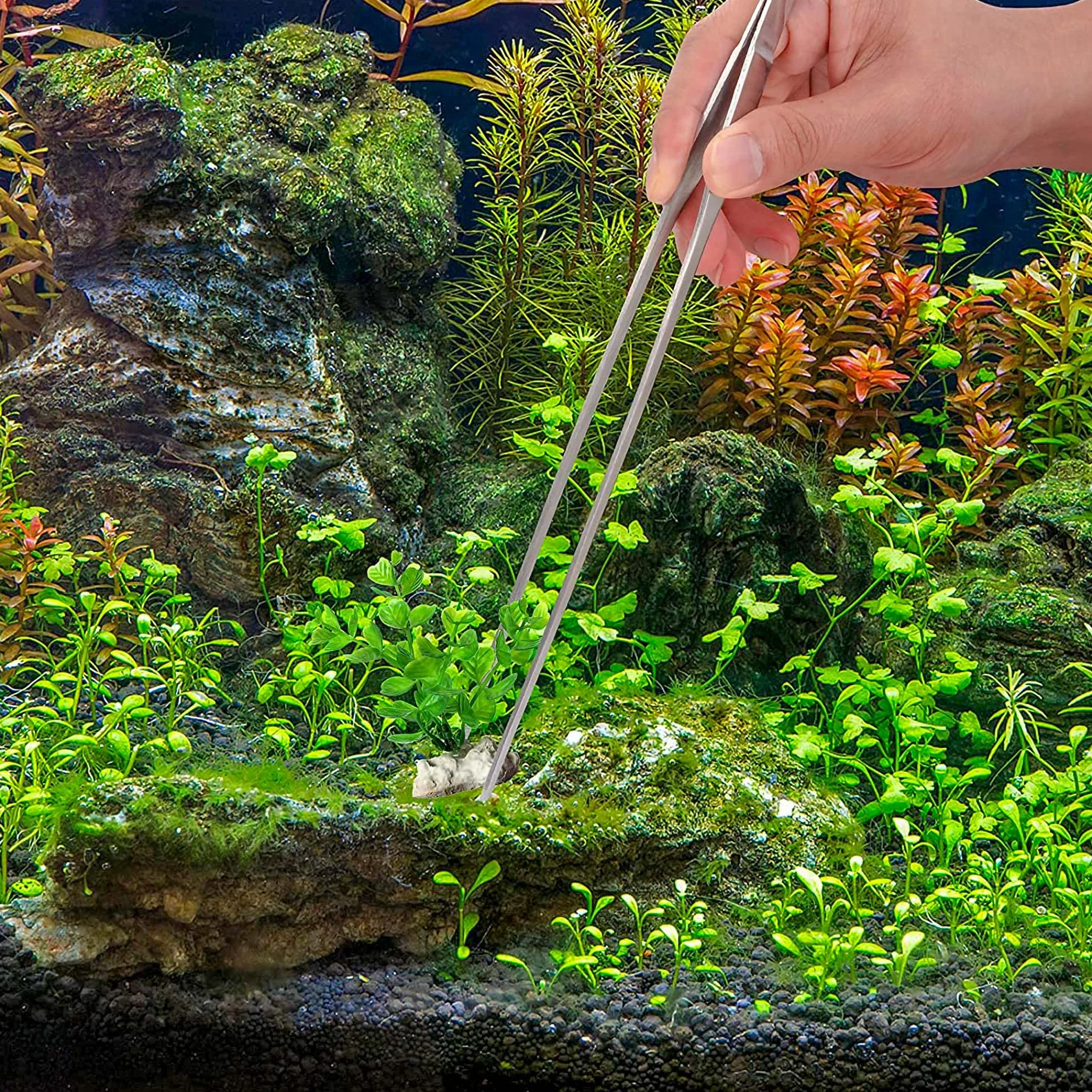 Set di Attrezzi per Acquario 5 In 1 Acquario Starter Kit Acciaio Inossidabile Set per Acquario Con Forbici Spatola Pinzette per Piante per Acquari
