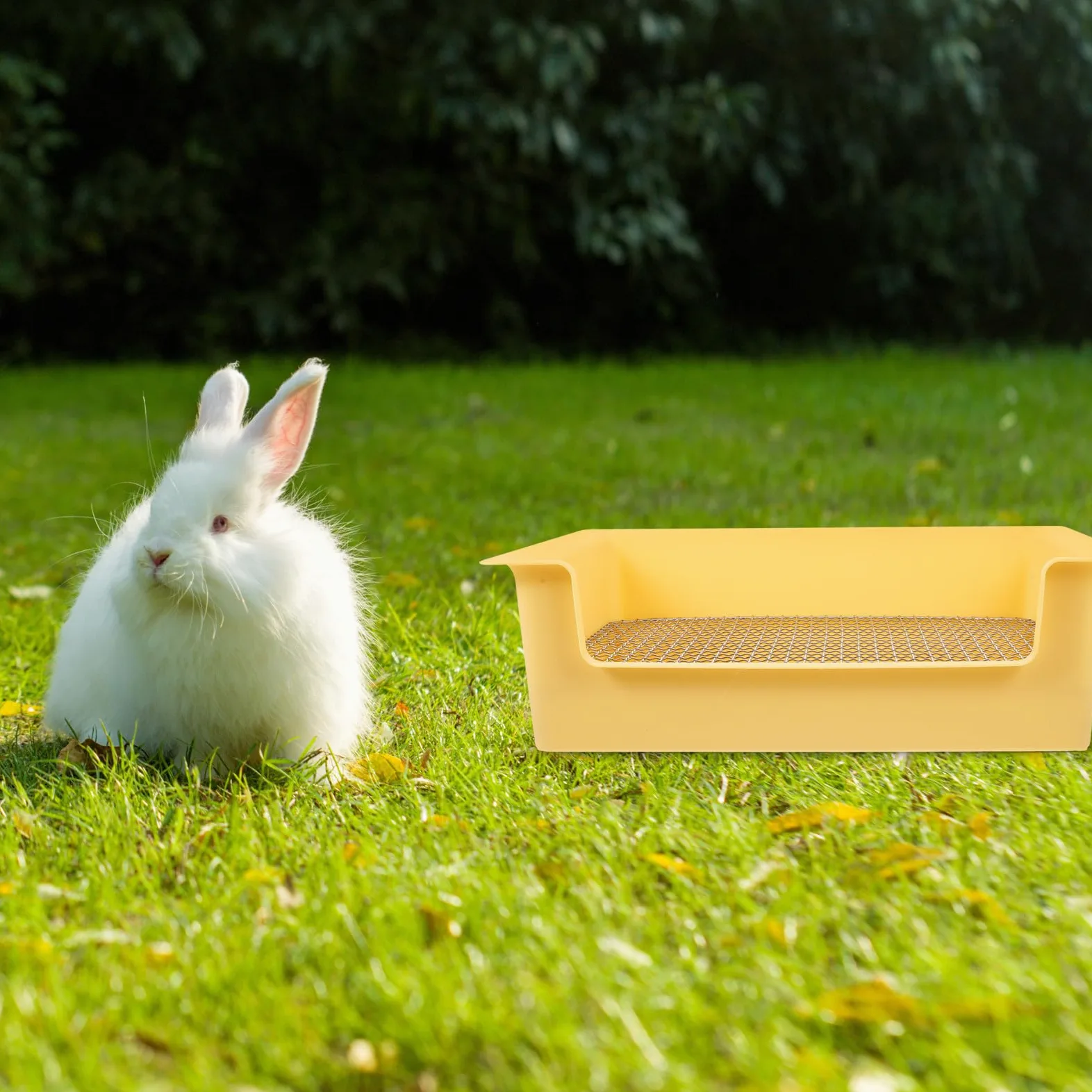 Toilette per Conigli in Plastica Gialla Rettangolare Ampio Spazio attività e Design Portatile per Piccoli Animali da Interno in Bagno o Ufficio