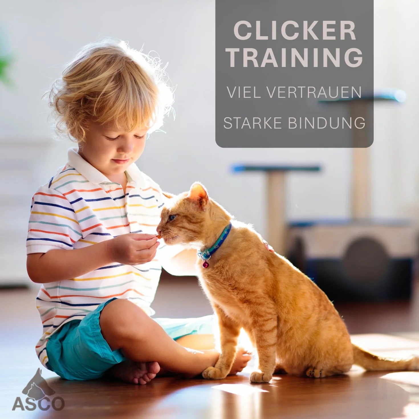 ASCO Clicker da Dito Premium con Cinturino da Polso Elasticizzato per clicker Training, clicker Professionale per Cani, Gatti e Cavalli, clicker per addestramento Cani, Nero AC01FA