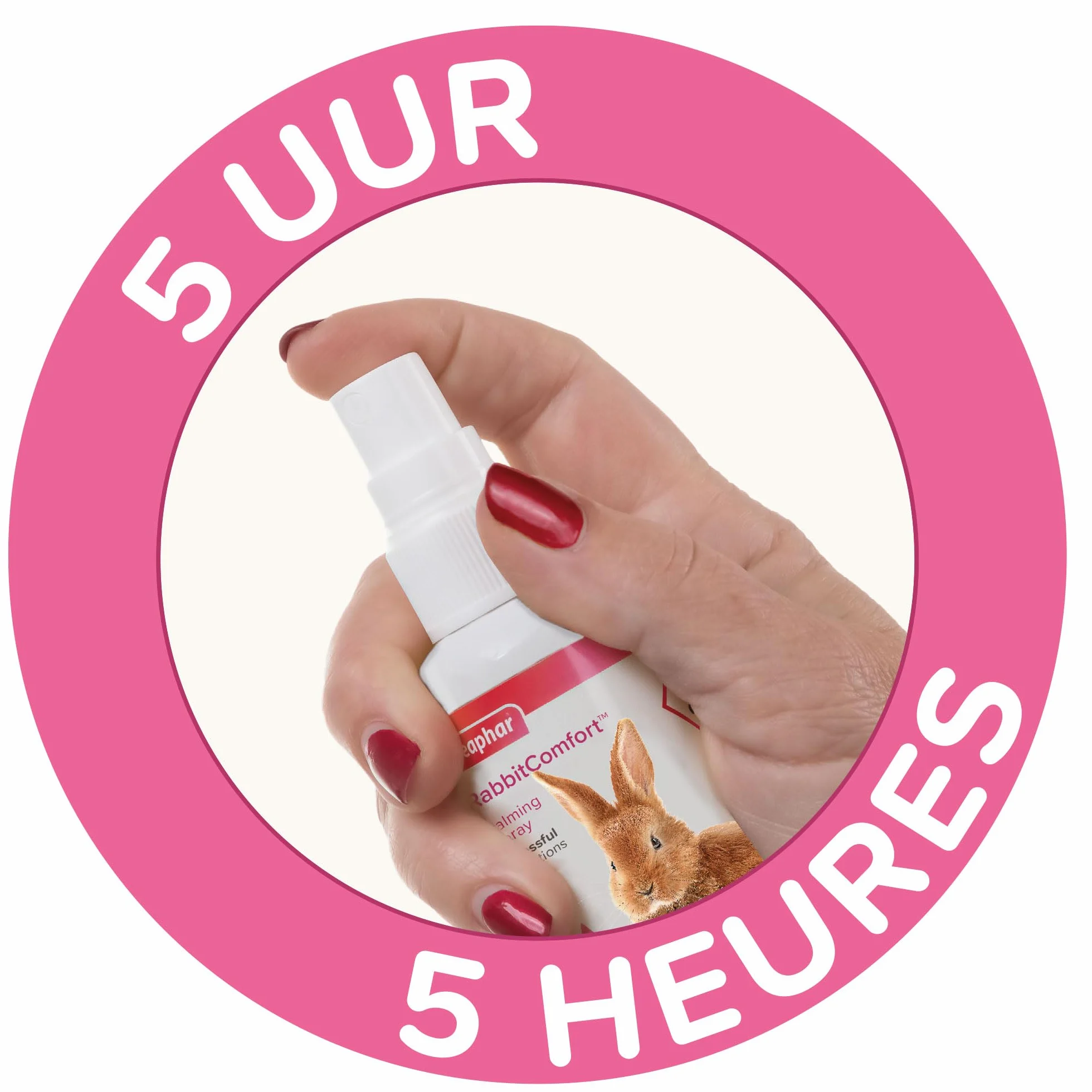Beaphar – RABBITCOMFORT – Spray Calmante ai Feromoni per Coniglio – Riduce Lo Stress e i Problemi comportamentali – Pronto all'Uso – Flacone da 30 ml = 214 Spruzzi