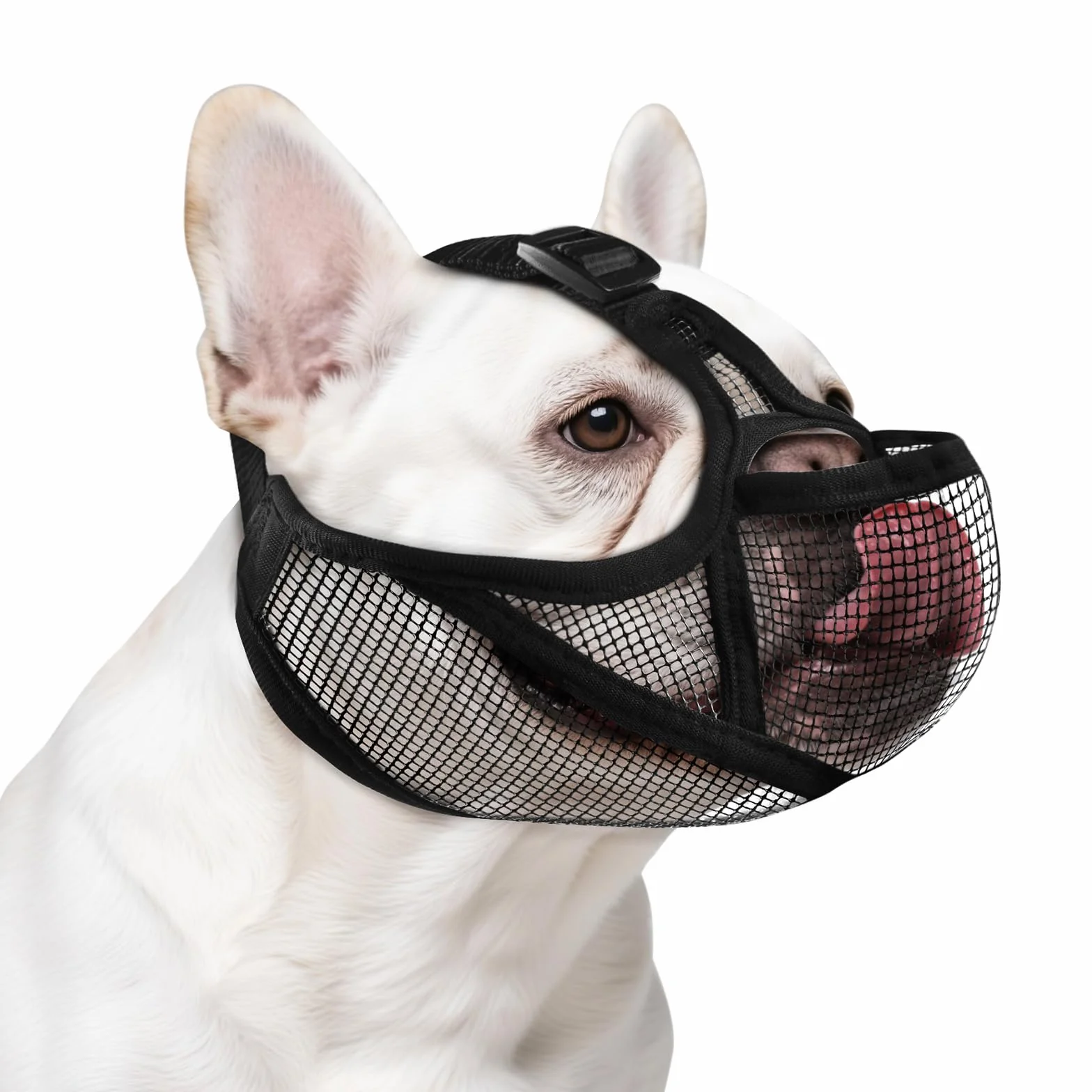 ILEPARK Museruola per Bulldog Francese, Museruola Morbida Regolabile per Cani dal Muso Corto Come Il Bulldog Francese, Museruola in Tessuto a Rete Traspirante, Consente di Bere e Mangiare (L, Nero)
