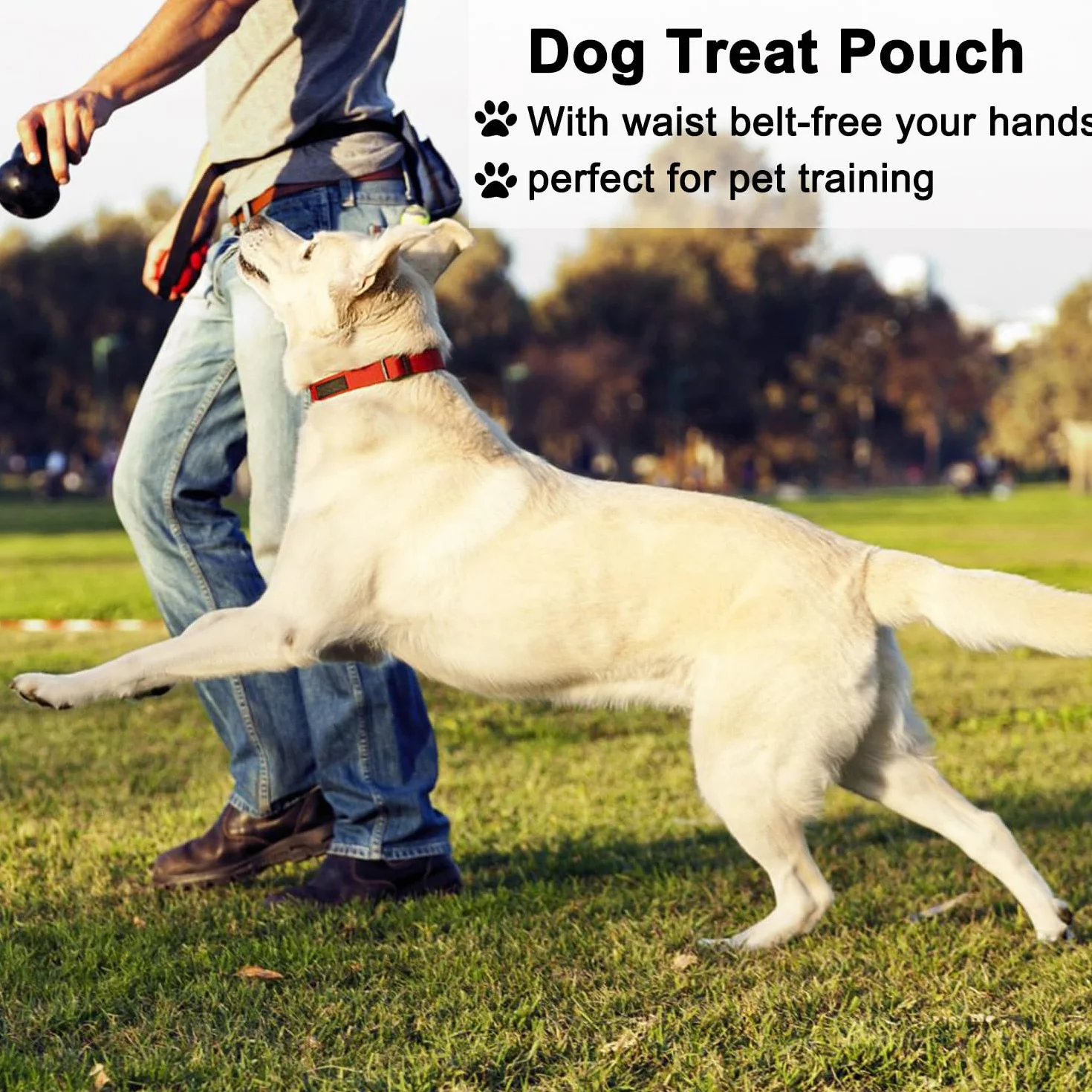 Sacca per Cani per Addestramento del Cane, Porta Premietti per Cani, Multifunzionale Borsa Porta Snack Cane con Dispenser per Sacchetti, Cintura Regolabile