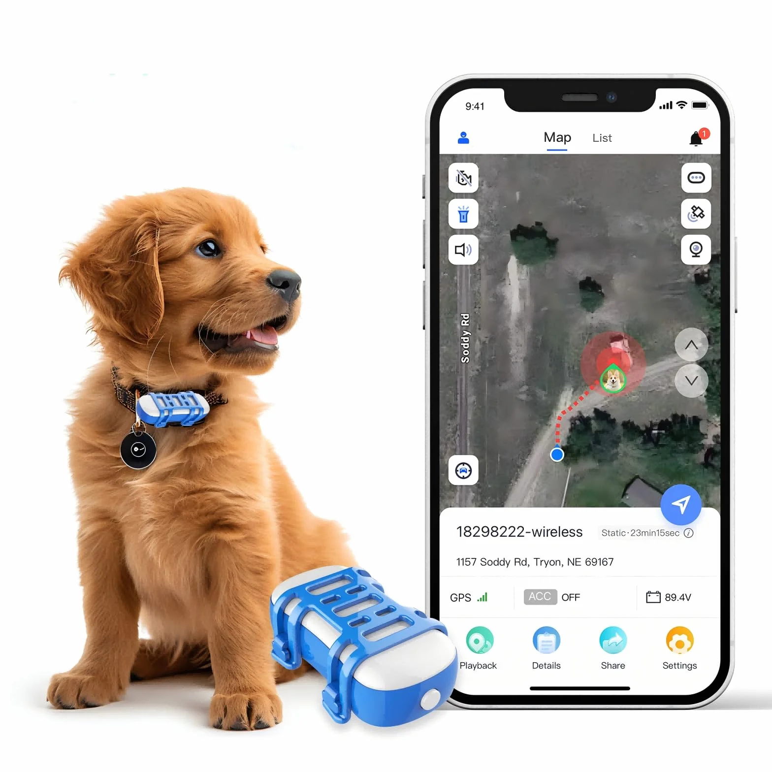 GPS per cani gatto GPS cane- Durata della batteria fino a 1 mese - Collare GPS - Localizzatore impermeabile, - Posizione globale in tempo reale, Notifiche anti-fuga, Recinti digitali e Notifiche