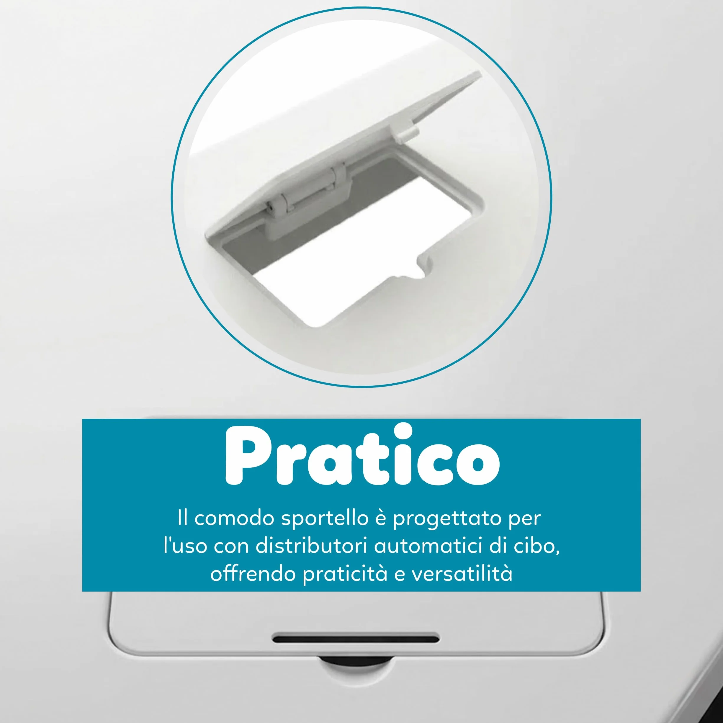 AQPET Acquario in Vetro per Pesci Tropicali Completo di Accessori Filtro Luce Simply, 60 59x30x39 cm 60 Litri, Bianco