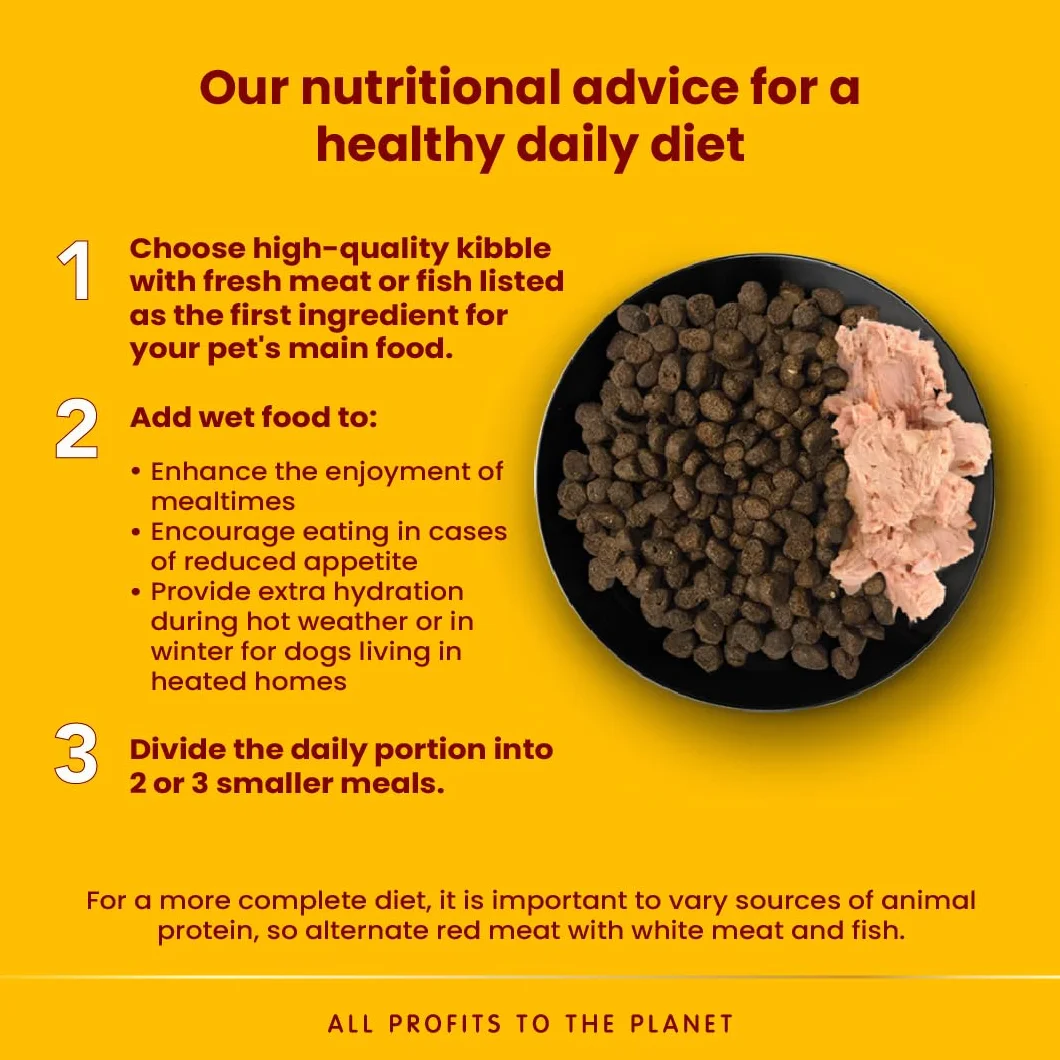 almo Nature Daily Menu Paté di Cane con Pesce Bianco e Riso, 300 g, Confezione da 9