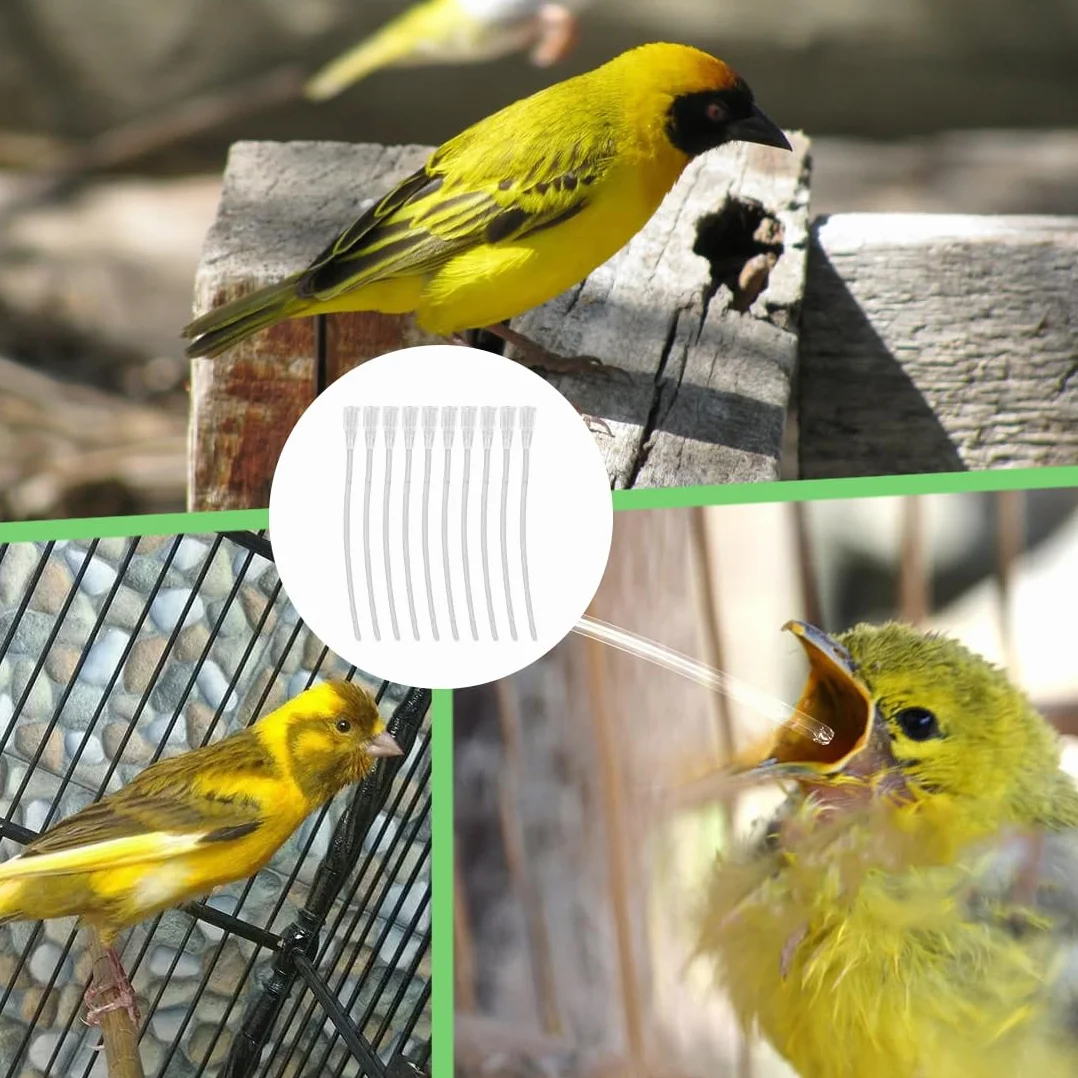 20 pezzi Alimentatore Pappagalli,Alimentatore Pappagalli Trasparente Uccelli Alimentazione Tubi Veloce Alimentazione Tubo per Bambino Pet Uccelli