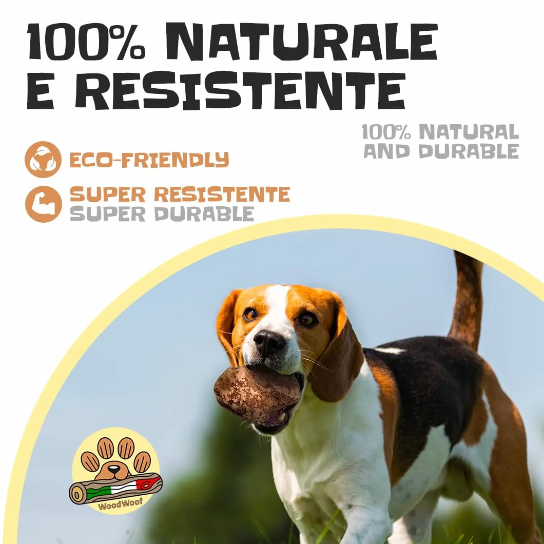 WoodWoof Masticativi Naturali per Cani - Radice di Erica M 200-400 g - Antistress, Senza Additivi, Igiene Dentale - Cani 15-25 kg