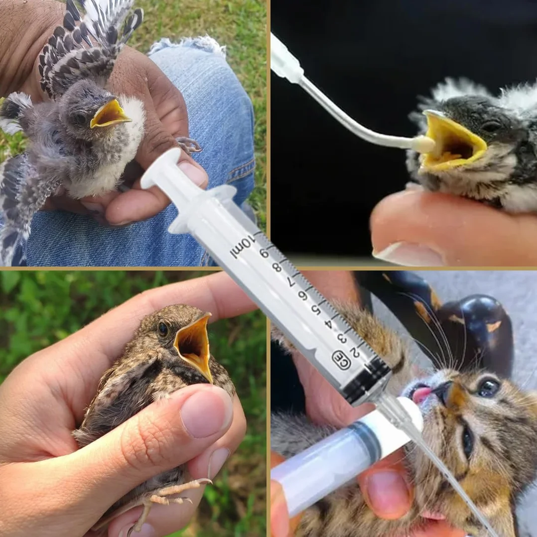 20 Pezzi Alimentatore Pappagalli Trasparente Uccelli Alimentazione Tubi Veloce Alimentazione Tubo Siringa per Bambino Pet Uccelli