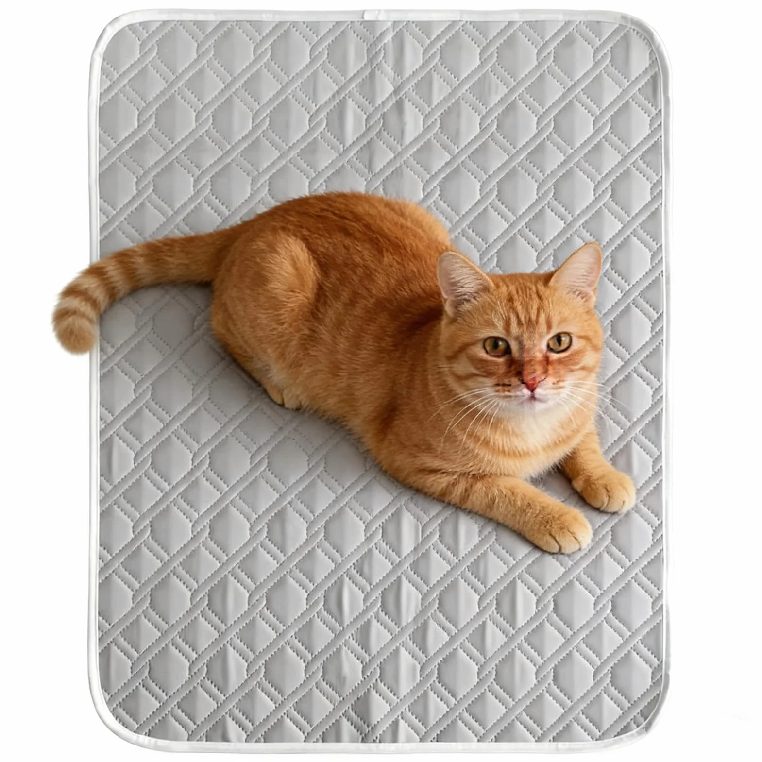 Materassino refrigerante per animali domestici 45x35 cm morbido cuscino per gatti cuccia lettino canile