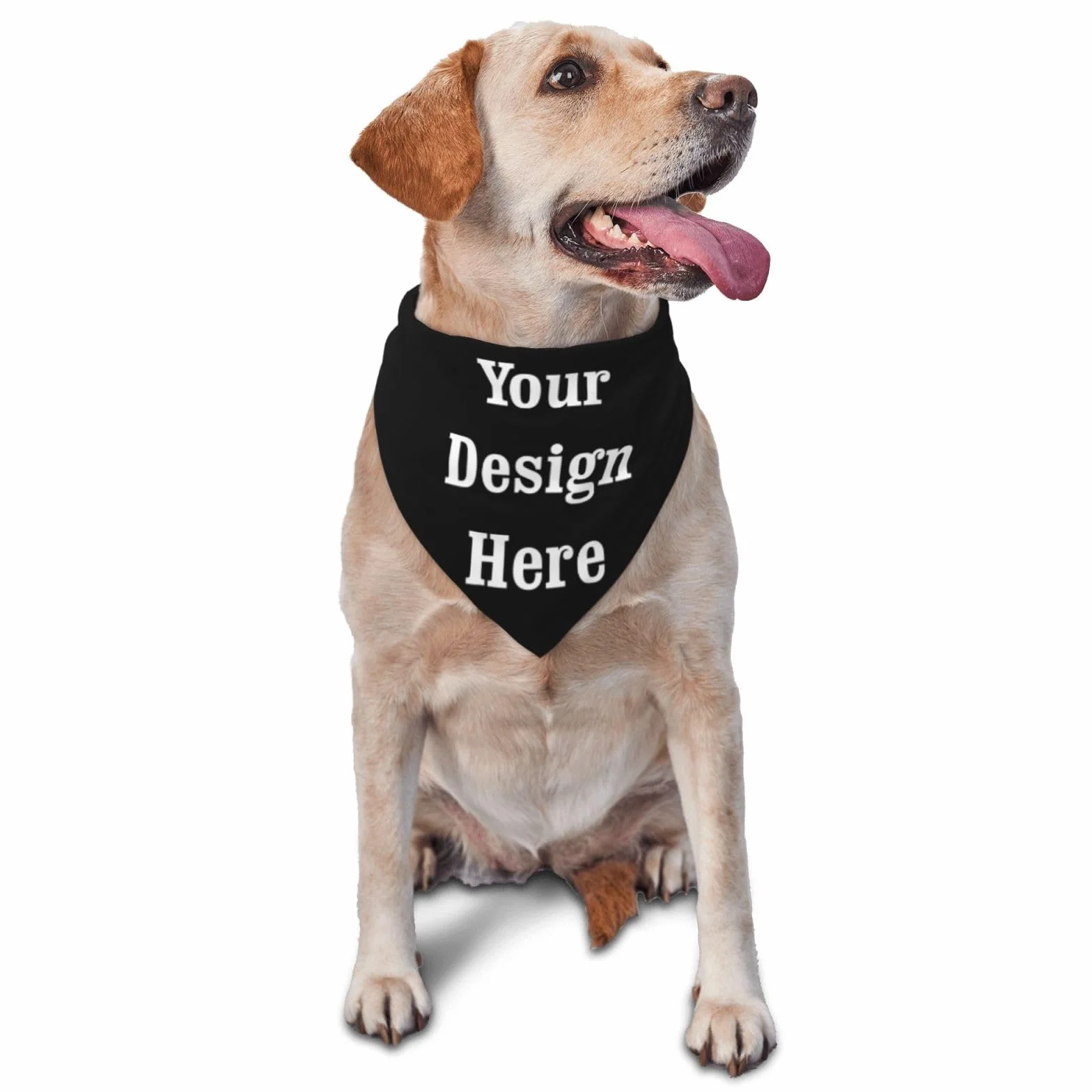 Personalizowana bandana dla psa i kota trójkątna chusta akcesorium dla zwierząt