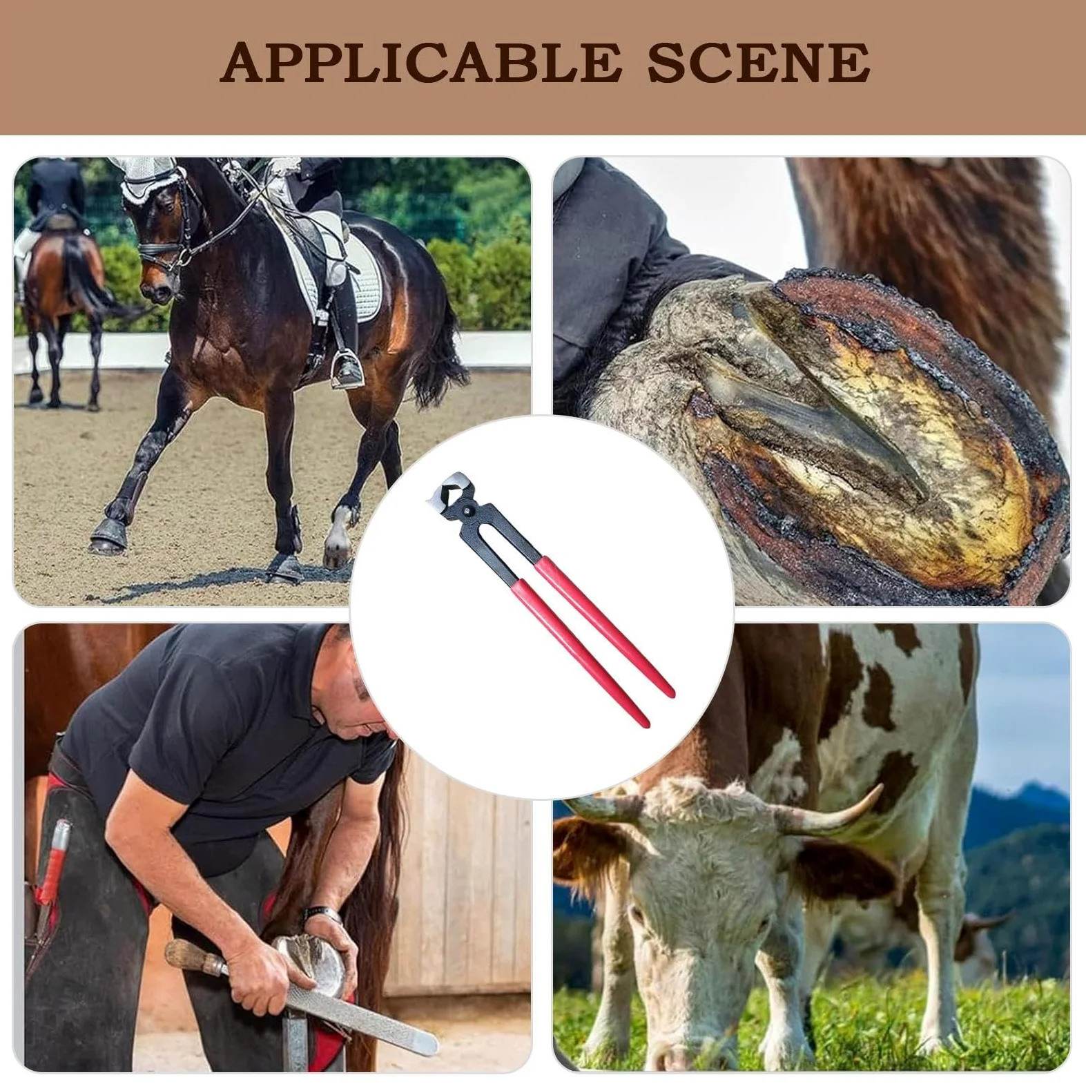 Tenaglie Da Zoccolo Per Utensili Di Precisione Per Maniscalchi | Tronchesi Per Capre E Pecore Per La Cura E Manutenzione, Rifilatura E Ferratura Di , Bestiame E Bovini