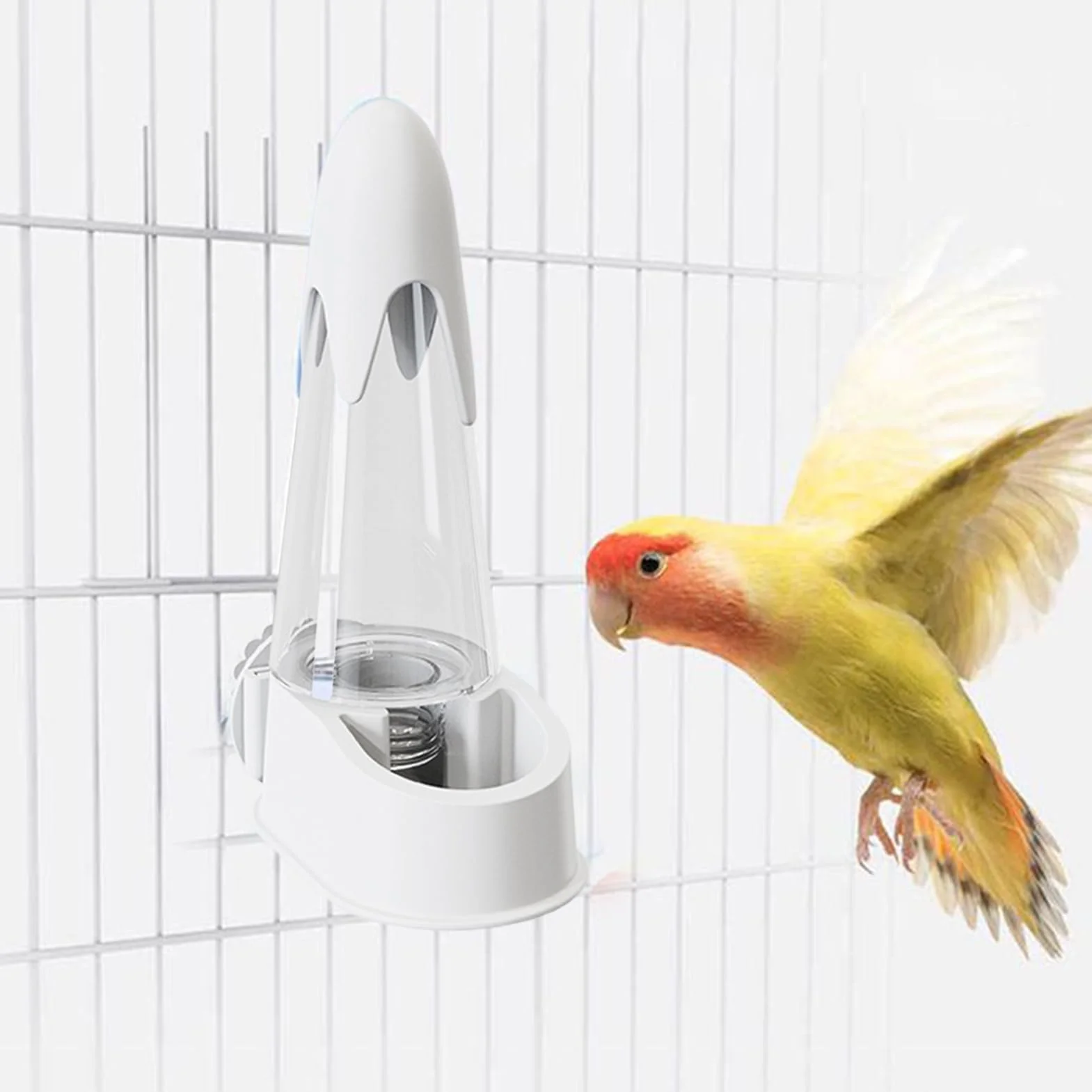 lyanny Bevi Uccelli - Automatico Dispenser Acqua Uccelli - Idratante Facile Da Installare Per Pappagalli Parrocchetti Piccoli Animali Domestici