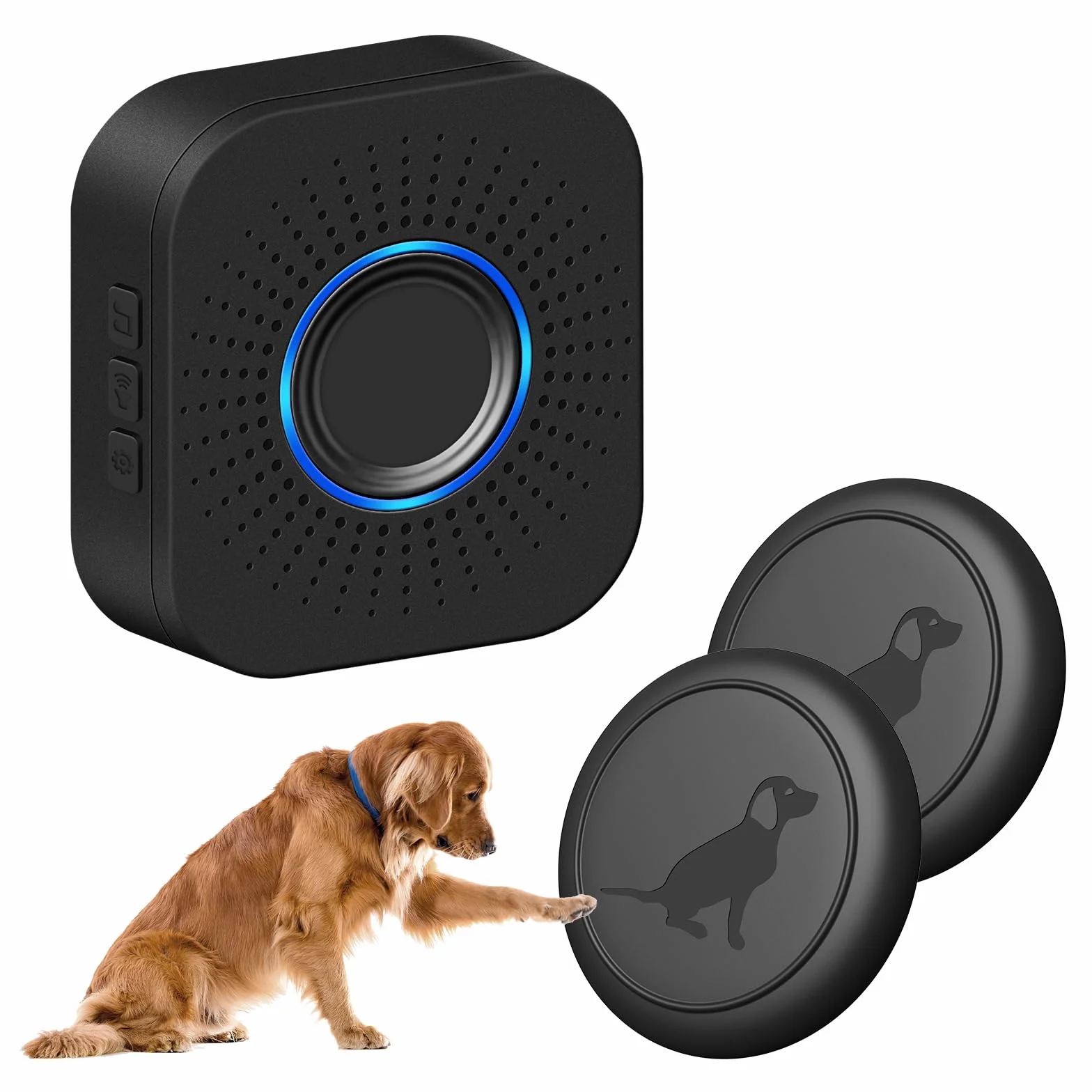MYPIN Campanello per Cani, Campanello Cane Senza Fili per l'addestramento del Cane al Vasino, Impermeabili IP65, 1.000 Piedi, 1 Ricevitore CC + 2 Trasmettitori