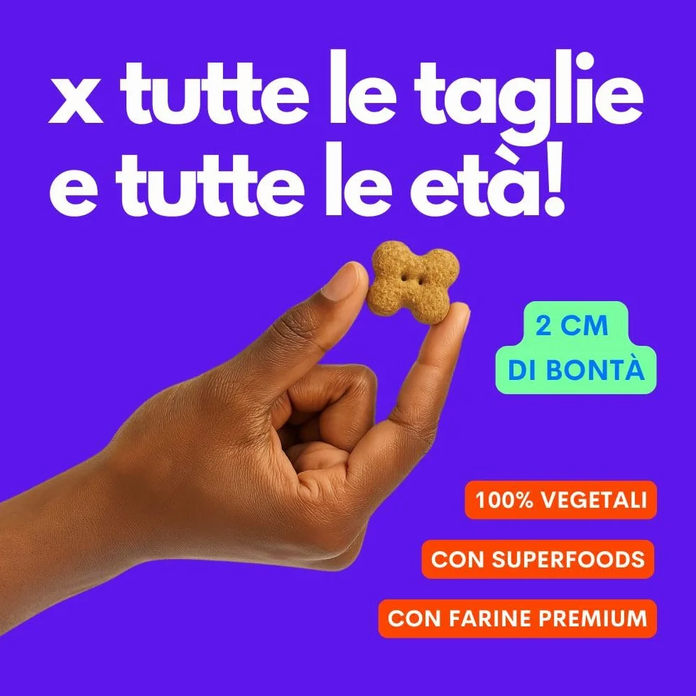 Jampy Biscotti per Cani Naturali Ipocalorici 5.5kcal. Snack Vegetali con Mela Yogurt Cocco. Premietti Digeribili Senza Additivi. Per Tutte le Taglie - 300g