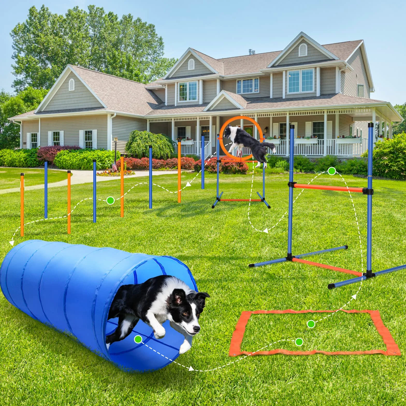 Agility Dog Attrezzatura, 60- Pezzi Addestramento Cani Agility Attrezzatura con Tunnel per Cani, Ostacoli Agility Dog, Slalom per Animali Domestici, Anello di Salto e Borsa da Trasporto