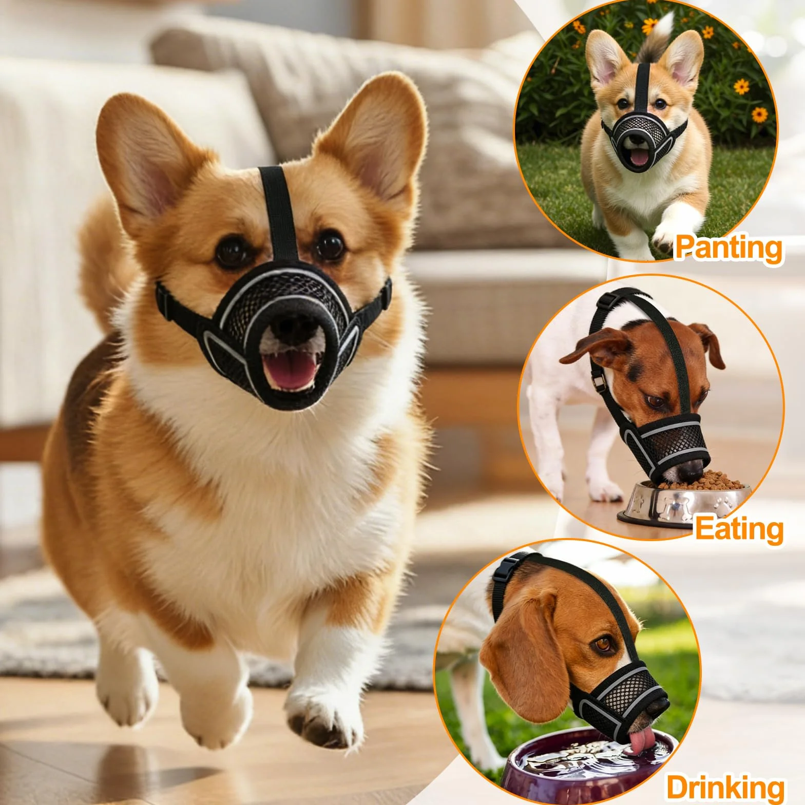 Museruola Per Cane in Nylon,Museruola Traspirante per Cani,Dog Muzzle Regolabile Cane,Traspirante Museruole per Cani in Rete,Prevenire Morsi Masticare e le Ingestioni Sostanze Nocive (XL)