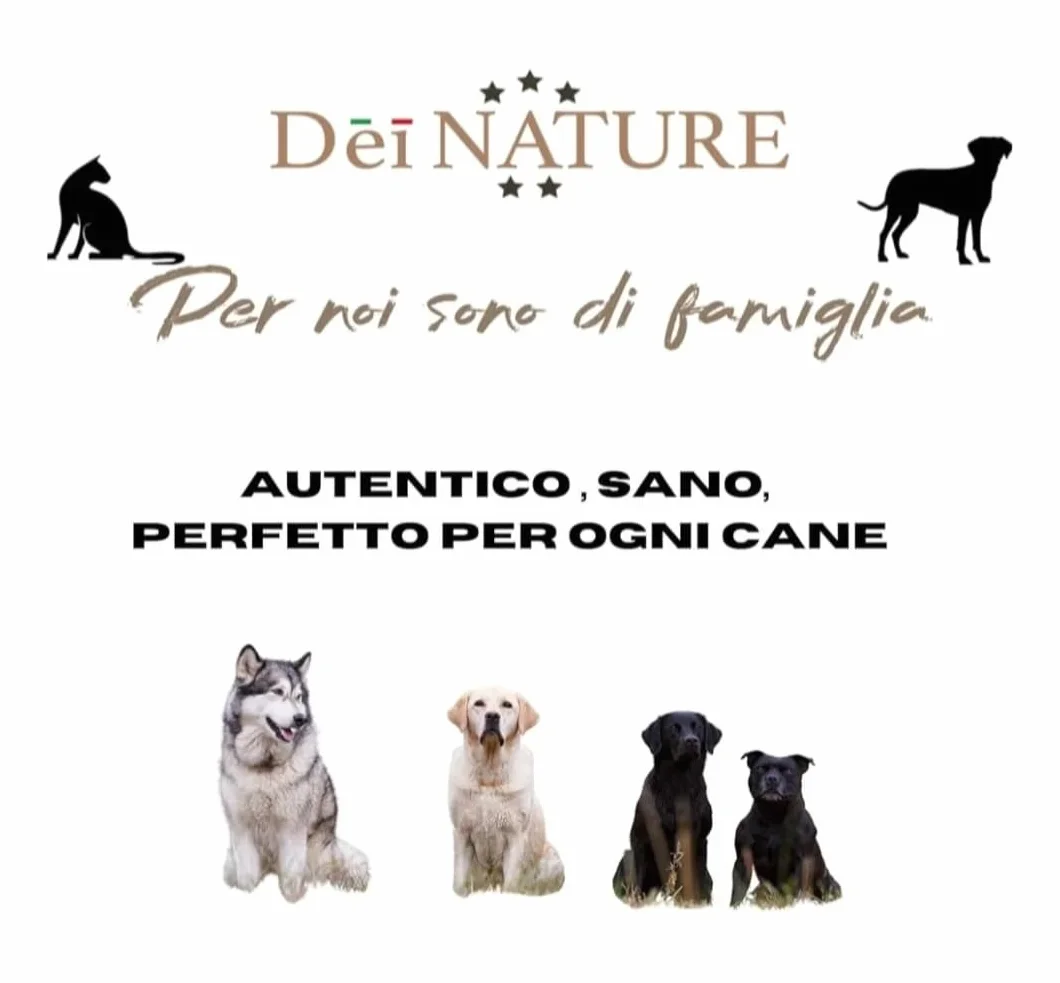Auricolari di Maiale Essiccate per Cani, confezione da 1 kg,Snack Naturale adatto Dieta BARF