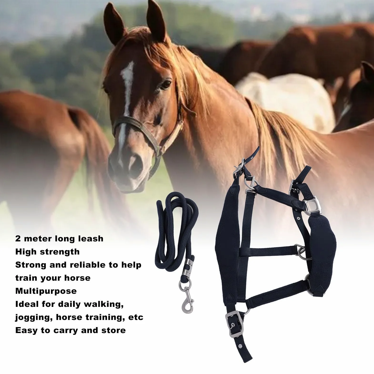 Tbest Set Cavezza per Cavallo, Set Guinzaglio Regolabile per Cavezza Briglia da Addestramento per con Guinzaglio da 2 M per Addestramento