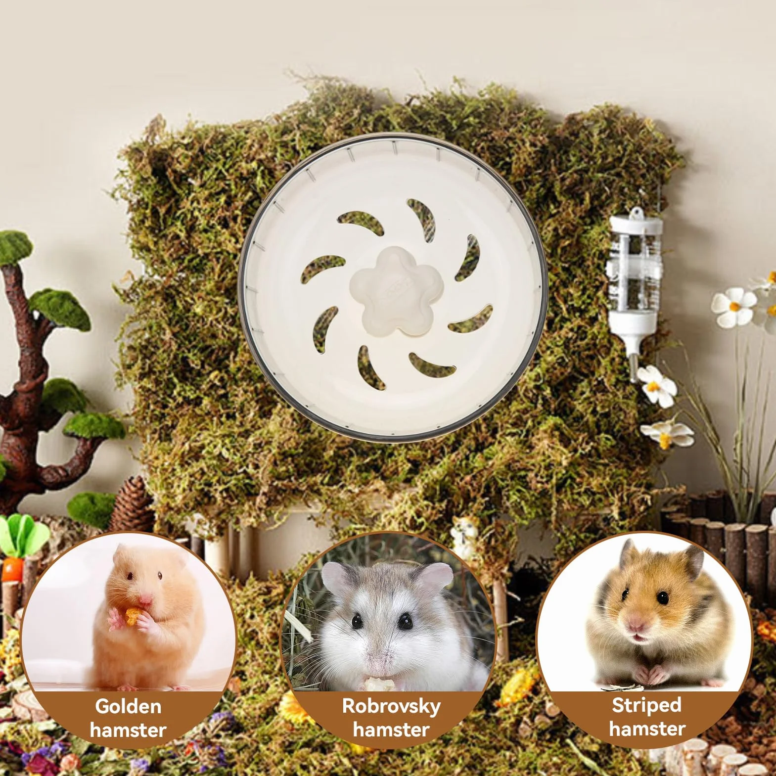 Ruota da Corsa per Criceti, 13 cm Silenziosa Ruota da Corsa Trasparente Ruota per Esercizi per Criceti, Gerbilli, Topi e Altri Piccoli Animali da Compagnia