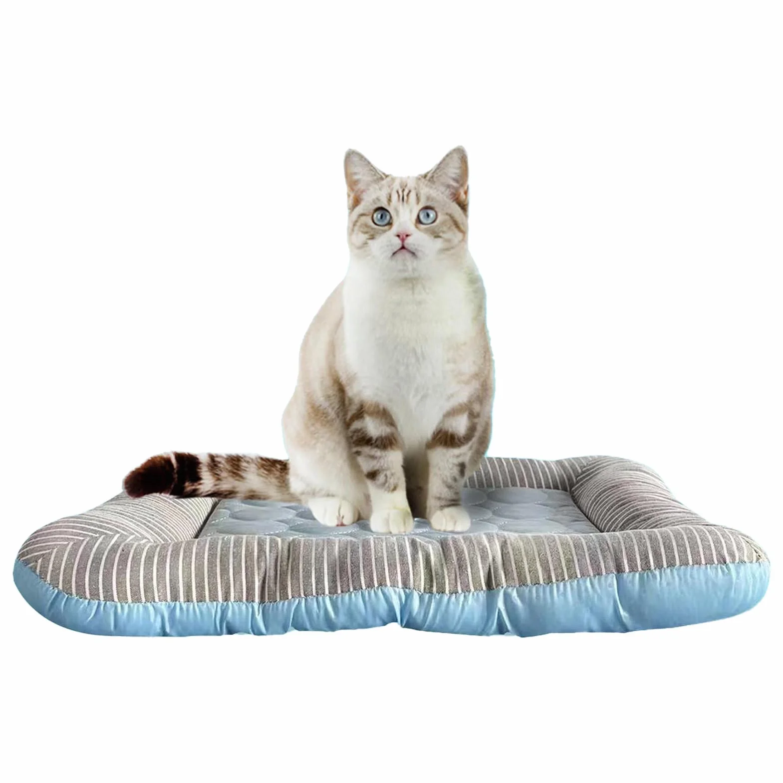 Generico Cuccia Rinfrescante Per Gatti - Fresco per Gattini da Interno - Tappetino Dormire Resistente Per Cani Di Taglia Media Cuccioli Gatti