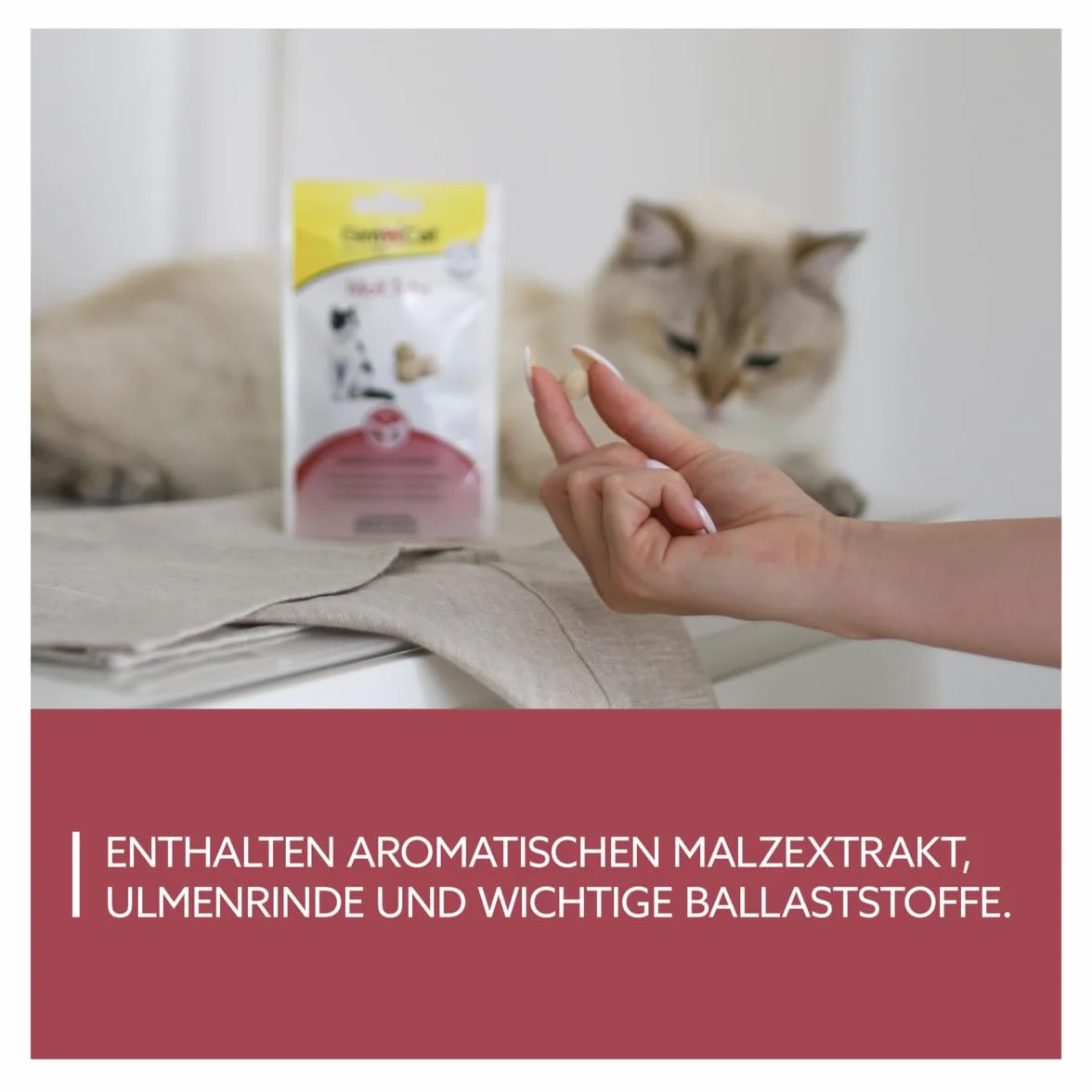 GimCat Malt Compresse, Snack funzionale per gatti con influsso positivo sulla salute dell’intestino, 1 sacchetto, 1 x 40 g