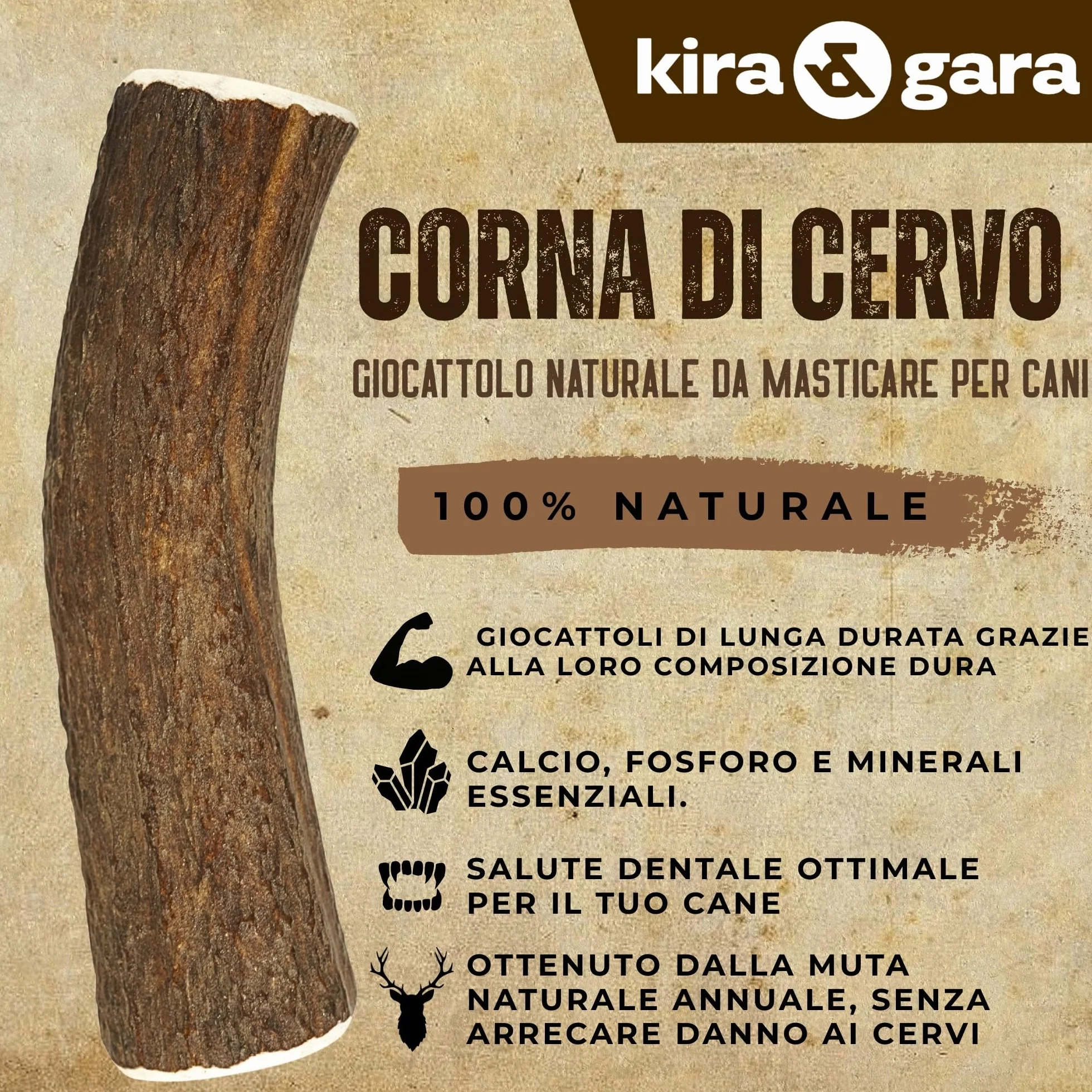 Corno di Cervo Naturale per Cani | Masticatore Dentale Duraturo | Origine Naturale, Senza Additivi | Kira&Gara® (XL - 200-240g, Pack de 1)