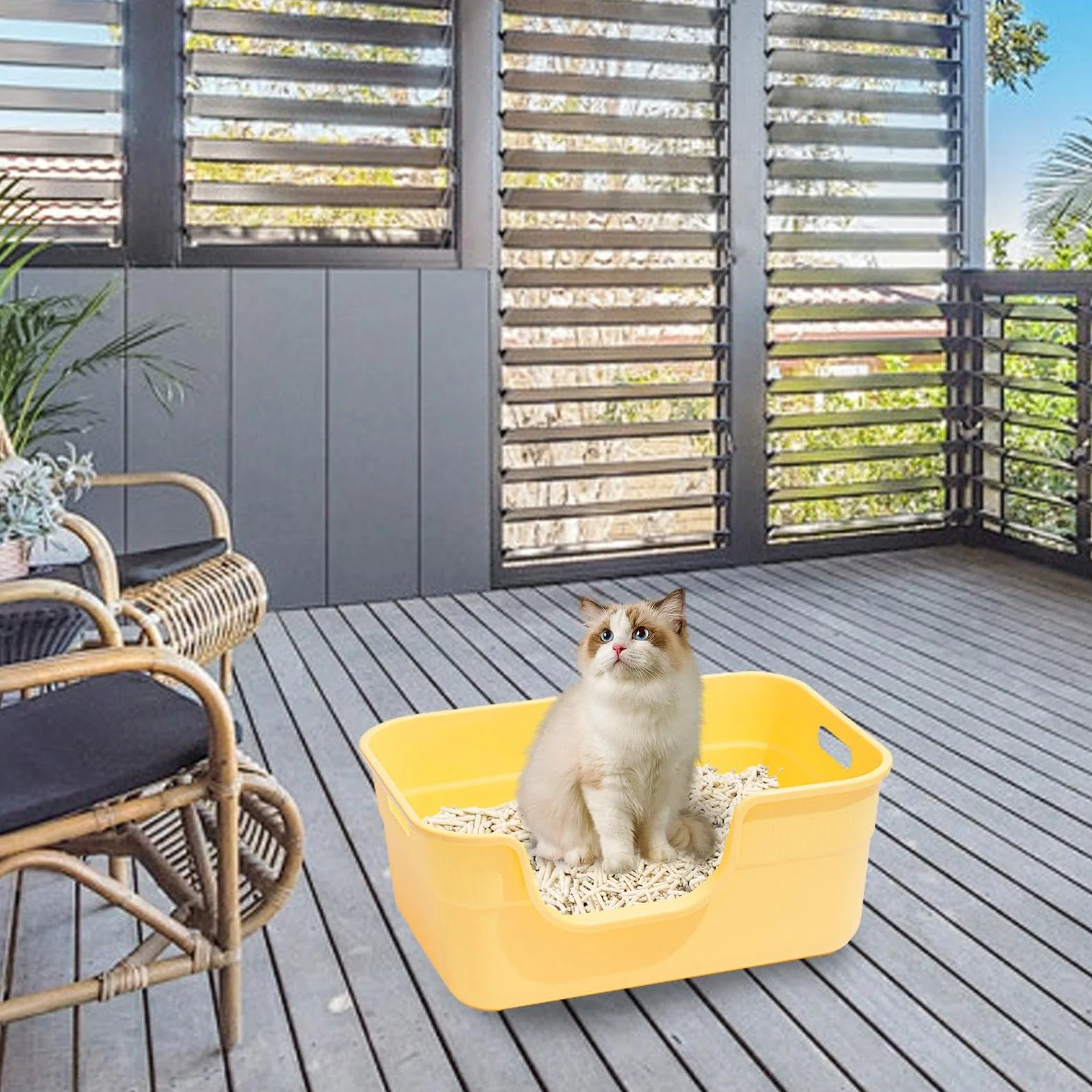 Cat Sand Box - Vassoio per lettiera per gatti | Vassoio per setacciatura della scatola del gatto, box gatto aperto, bacino di animali domestici portatili, cassette a lettiera aperta con pala, vassoio