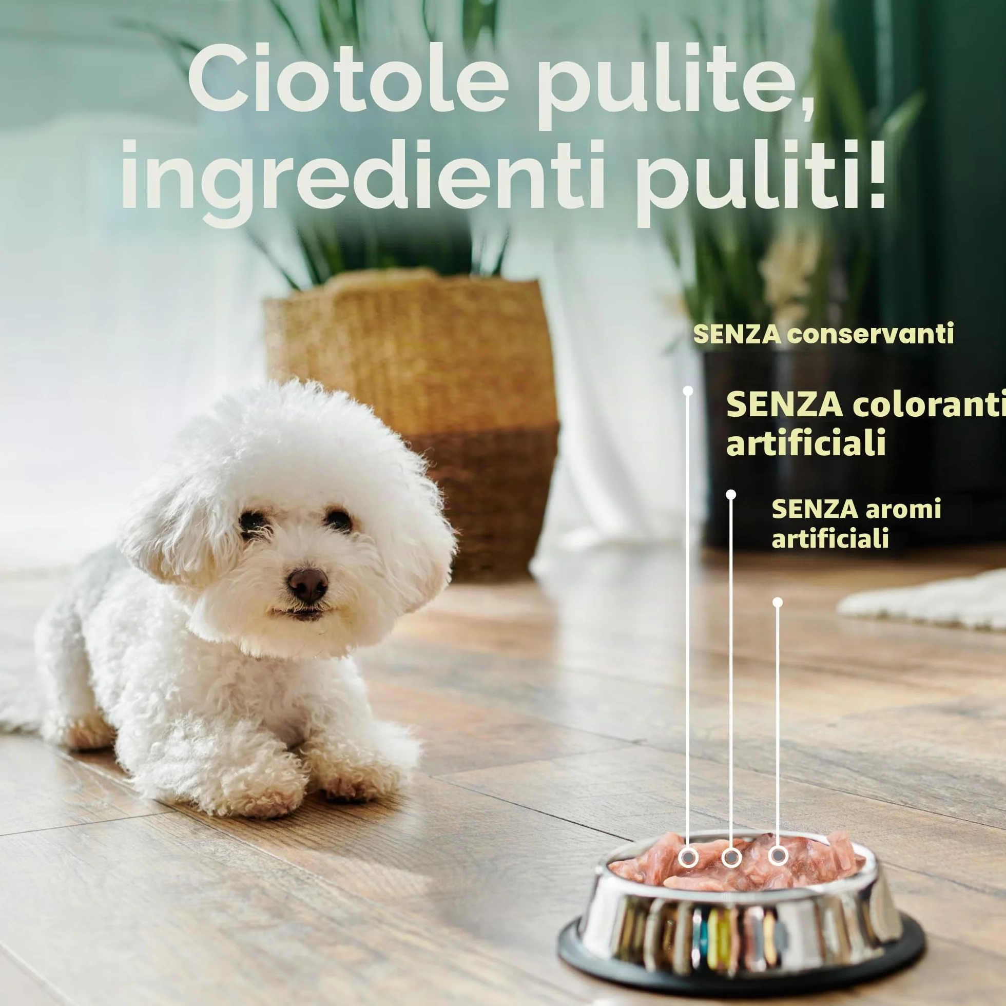 Nature's Protection Superior Care - Cibo umido per cani adulti, tonno e salmone ad alto contenuto proteico in sacchetti di sugo, per digestione sensibile, pelle e pelo sani, di tutte le razze, cani