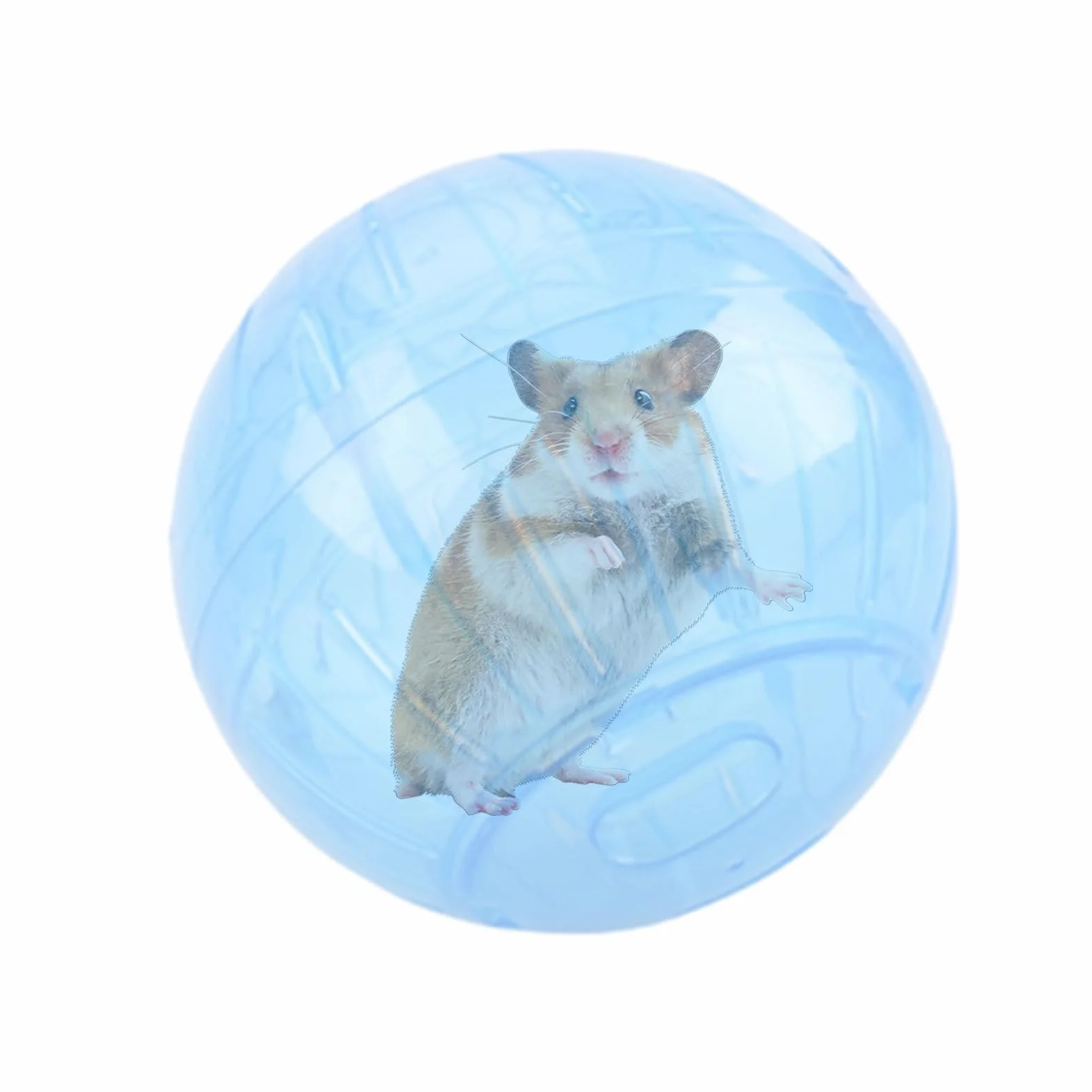 Palla per esercizi per criceti, ruota da jogging sicura per piccoli animali domestici, palla trasparente con fori di ventilazione, divertente giocattolo per fitness, ideale per criceti, gerbilli e
