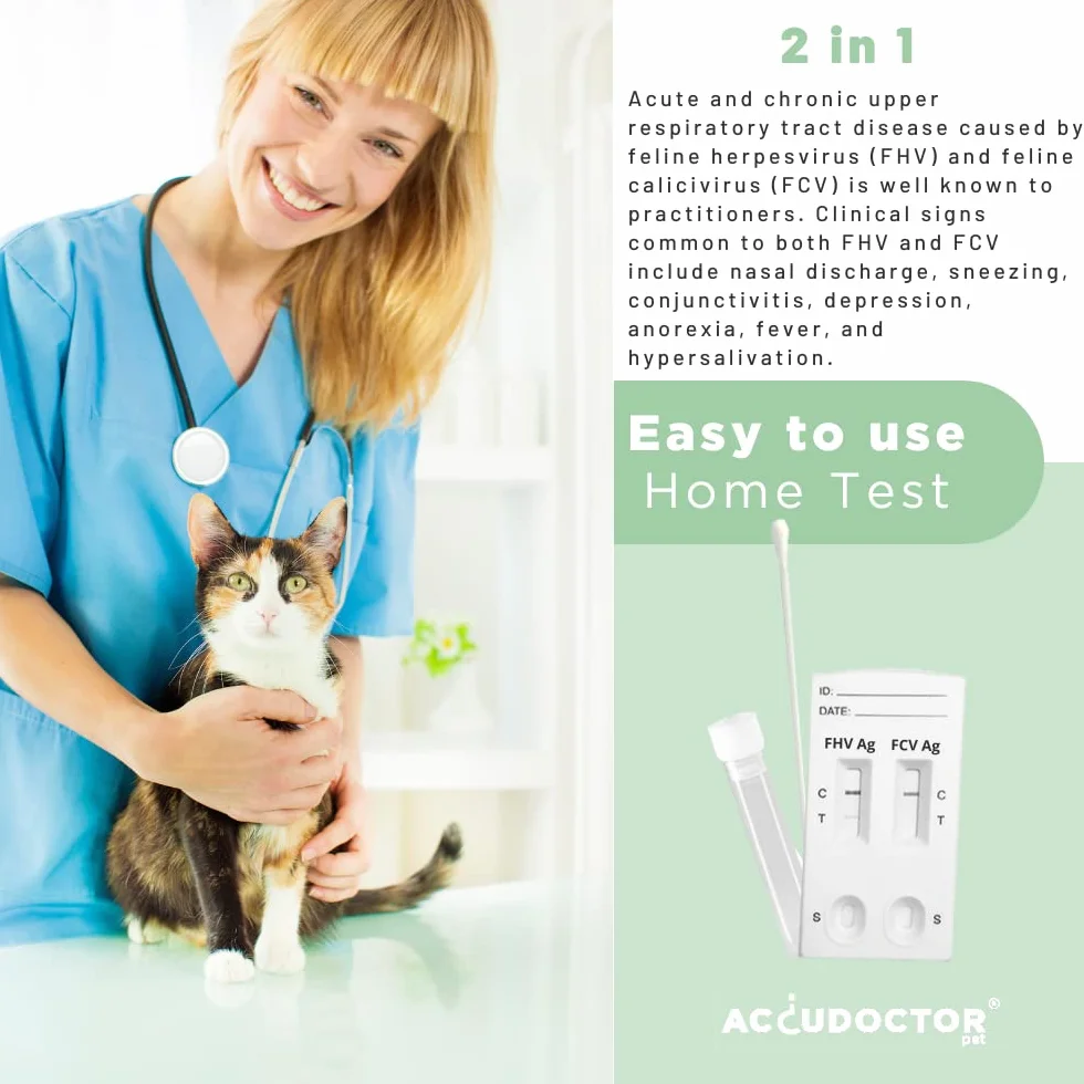 2 Accudoctor Test Gatti Herpesvirus felino FHV + Calicivirus felino CVF Veterinario per Animali Domestici felini rapido Kit Influenza Felina rapido Strisce Influenza Gatto Kit fiv felv Gatto Esame