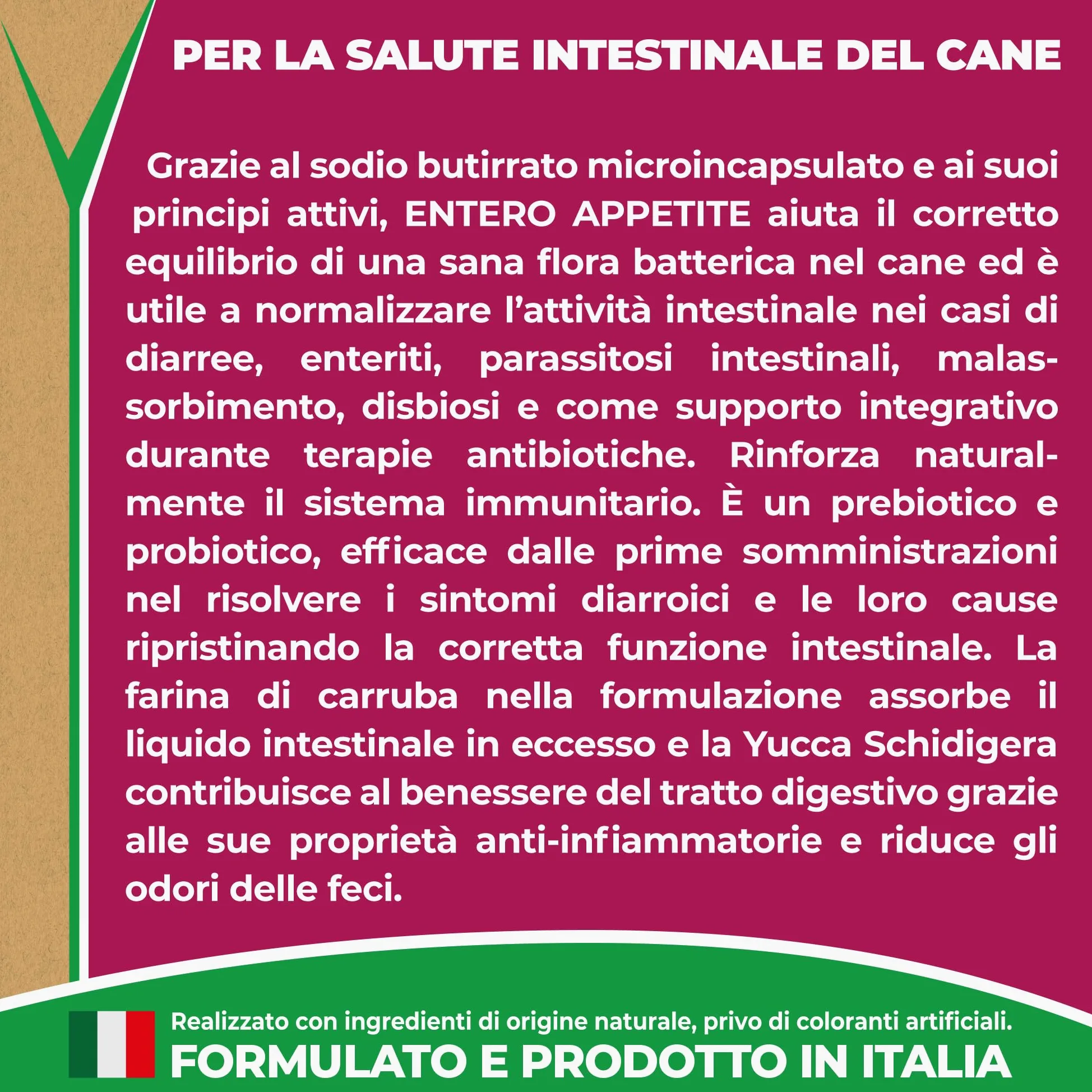EVVIVA Entero Appetite | Probiotici per Cani a base di Sodio Butirrato per l’Equilibrio della Flora Batterica e il Benessere Intestinale, Integratore per cani efficace soluzione per la Diarrea Cane