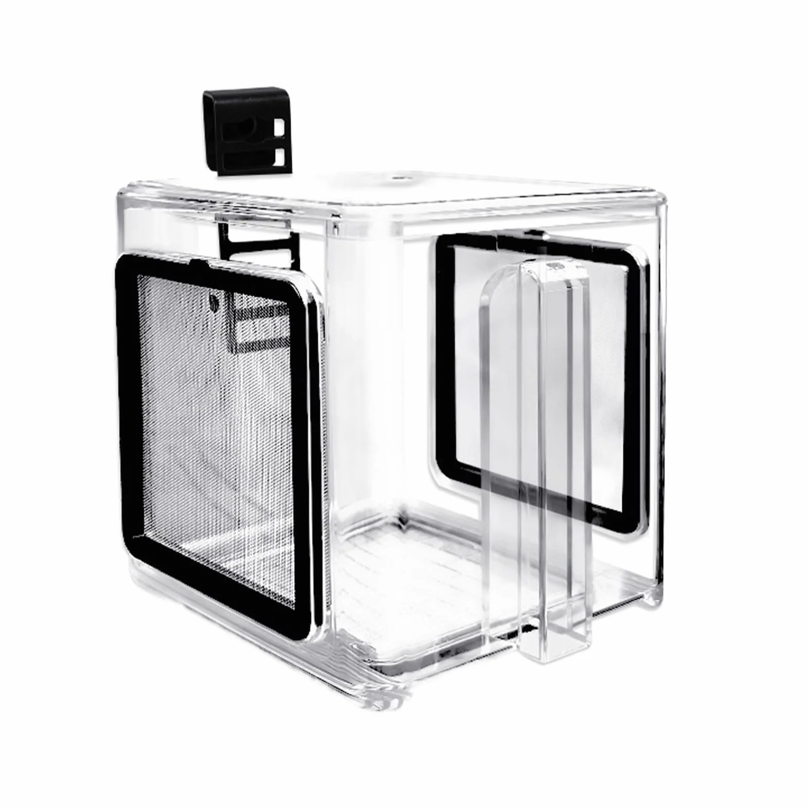 Scatola per allevamento di pesce, scatola isolante in acrilico per acquari – scatola acrilica incubatrice per acqua dolce e marina con divisorio
