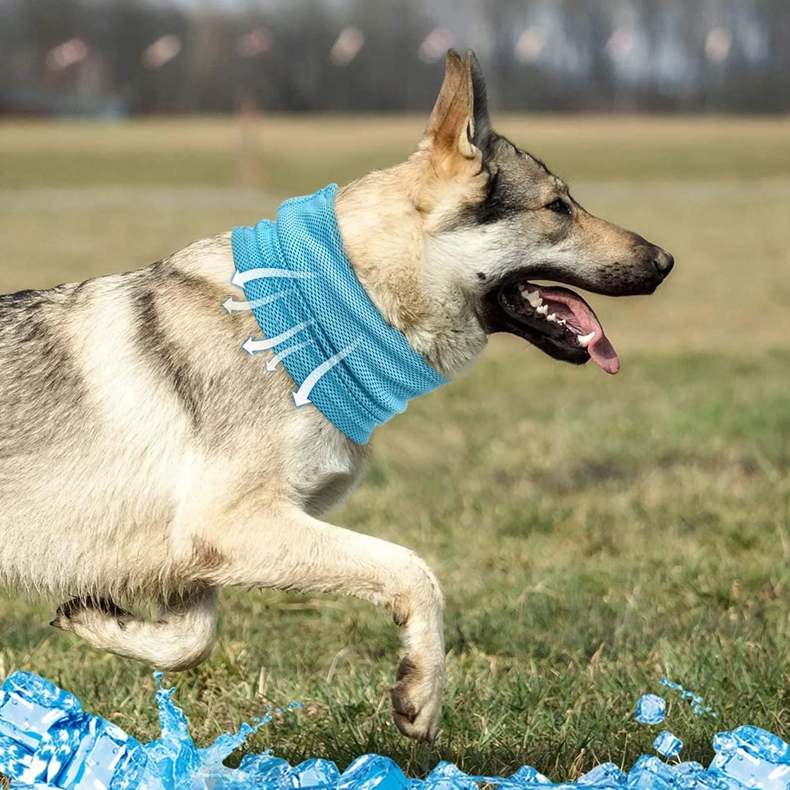 Bandana Raffreddamento per Cani Collare Rinfrescante Blu L