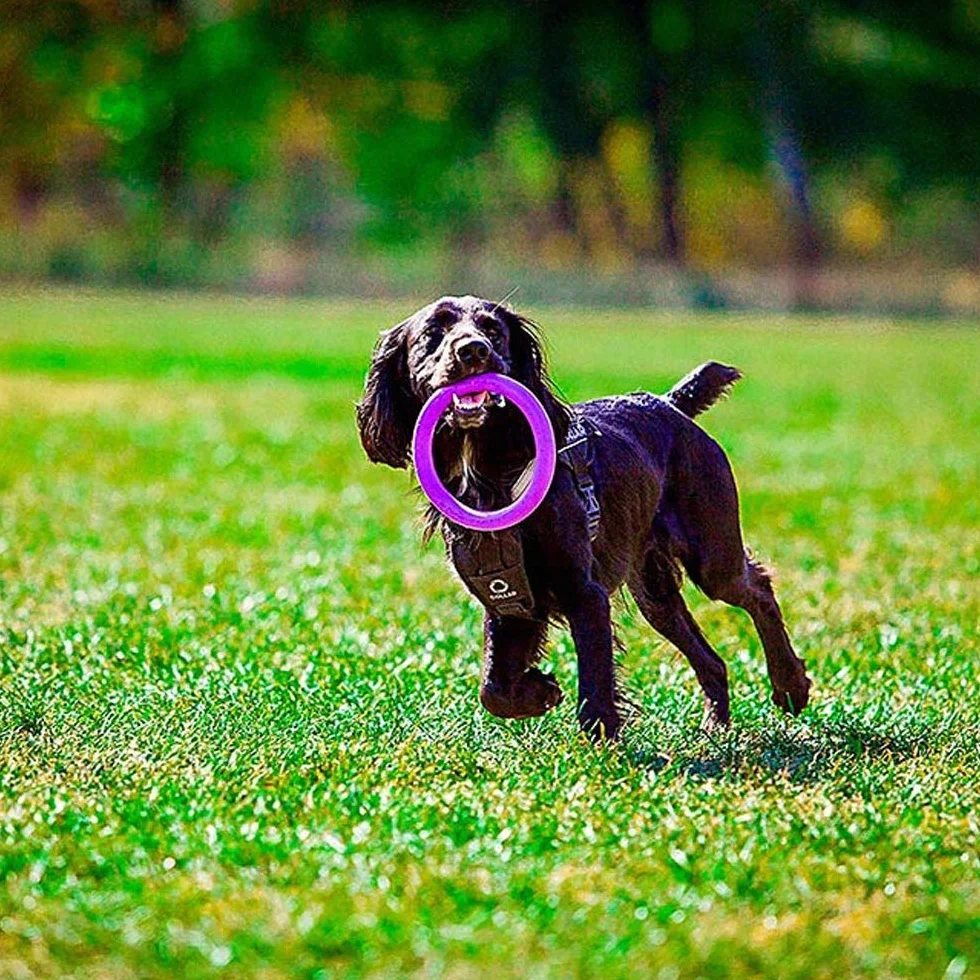 Ferplast Gioco Cane, Anello Addestramento Cani da Masticare, per Corsa, Salto, Tiro, Materiale Robusto Atossico, Galleggiante, PULLER MIDI, Giochi per Cane Piccolo e Medio, Set di 2 Anelli Fitness