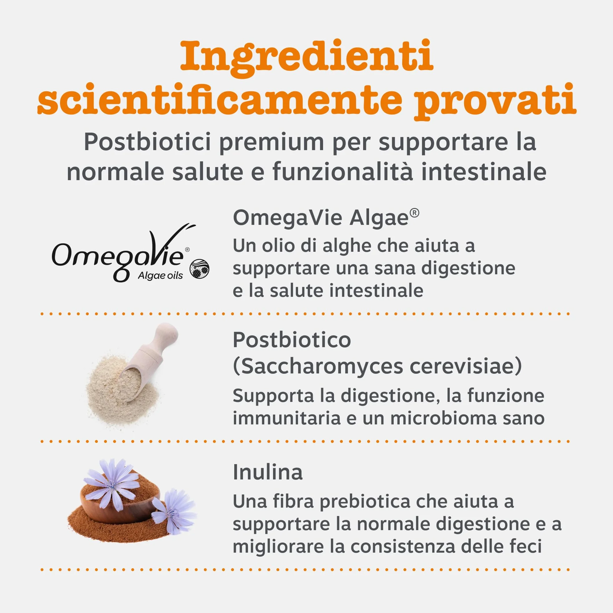 Zesty Paws Digestion & Prebiotic Paste - Digestione - per Gatti – Supporta Salute Intestinale e Sistema Immunitario – con Postbiotici, Inulina, Olio Algale e Vitamine C ed E – Gusto Pesce – 75g