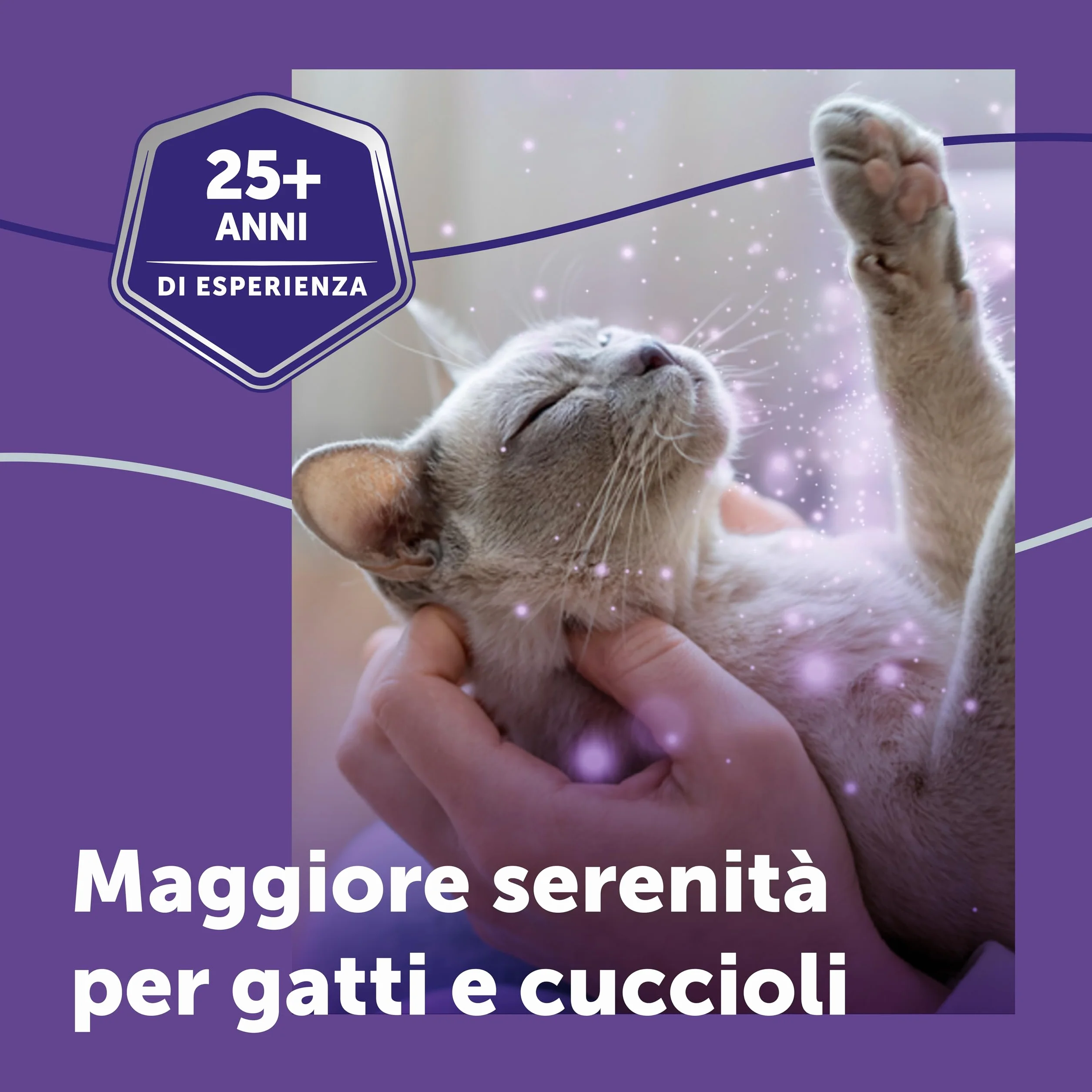 FELIWAY Optimum 3x30 Giorni di Ricariche Calmanti per Diffusore di Feromoni, Confezione da 3x48 ml – Aiuta a Risolvere Tutti i segni Comuni di Stress nei Gatti e Gattini, Raccomandato dai Veterinari
