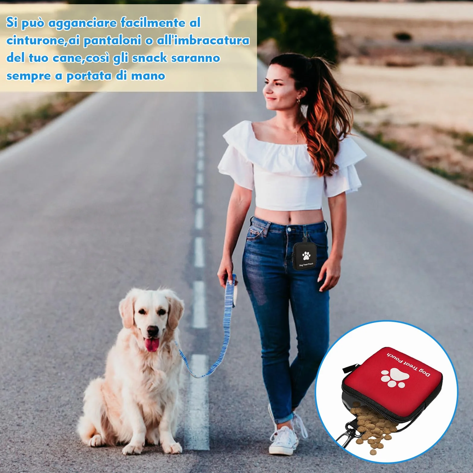 VEGCOO 2 Pz Porta Premietti per Cani Borsa con Cerniera e Moschettone, Sacchetti Portatili per Animali Domestici in Piccola, Borsa Addestramento Cane Porta Premietti per Cani per Viaggi, Uso Esterno