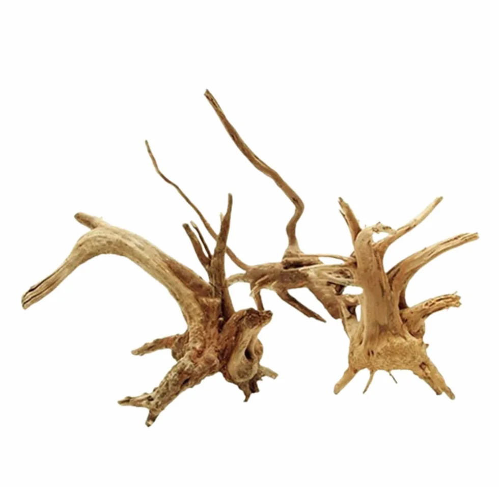 1 pz Acquario Driftwood Rami di Legno Naturale Rettili Tronco Legno Decorazione Serbatoio di Pesci Pianta Tronco Ornamento Paesaggistica Decoration8-10cm Comodo e attraente