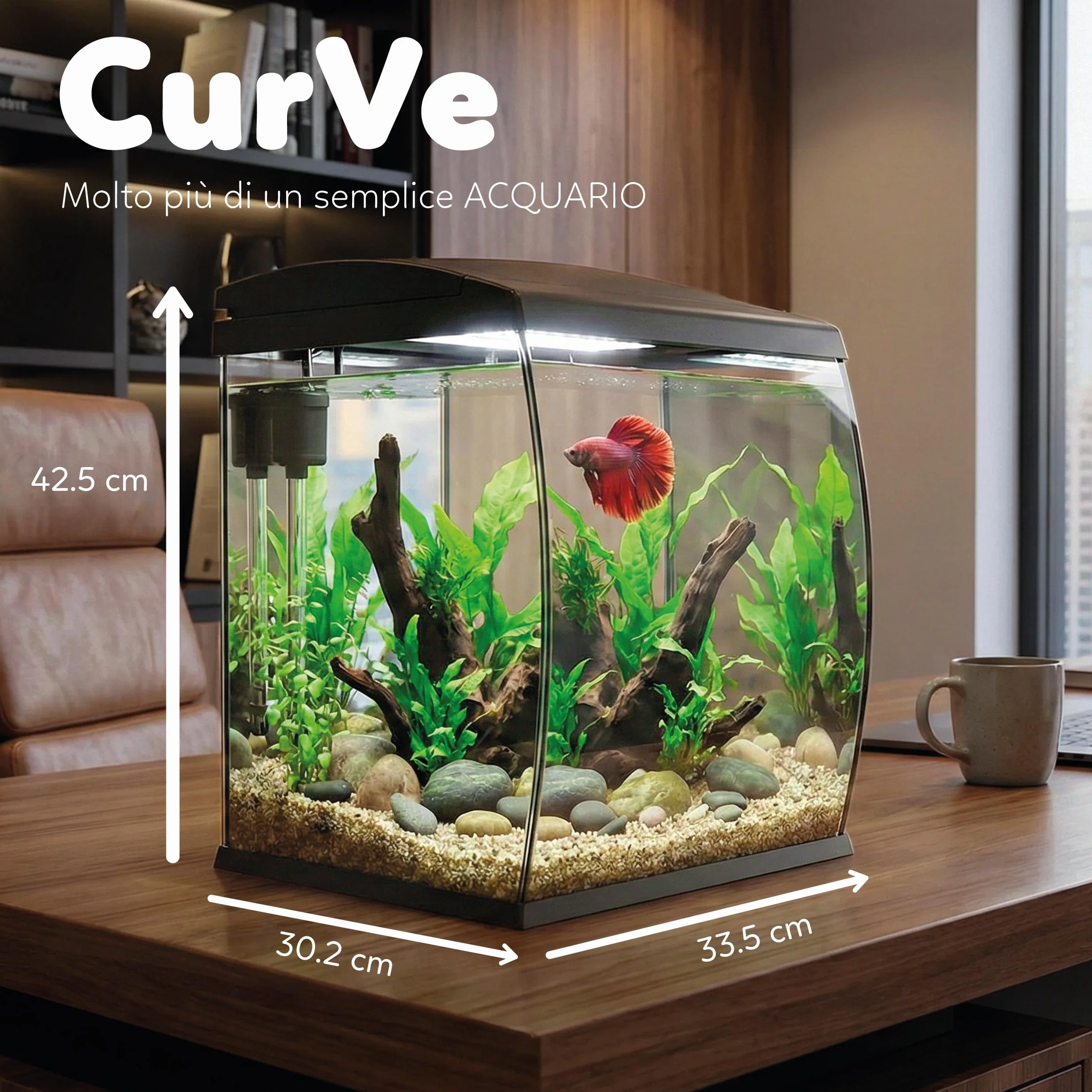 AQPET CurVe Acquario in Vetro Curvo 35L con Filtro Superiore Integrato e LED 6W – Acquario di Design da Scrivania con Pompa Inclusa e Coperchio per Distributore Automatico Mangime (Nero)