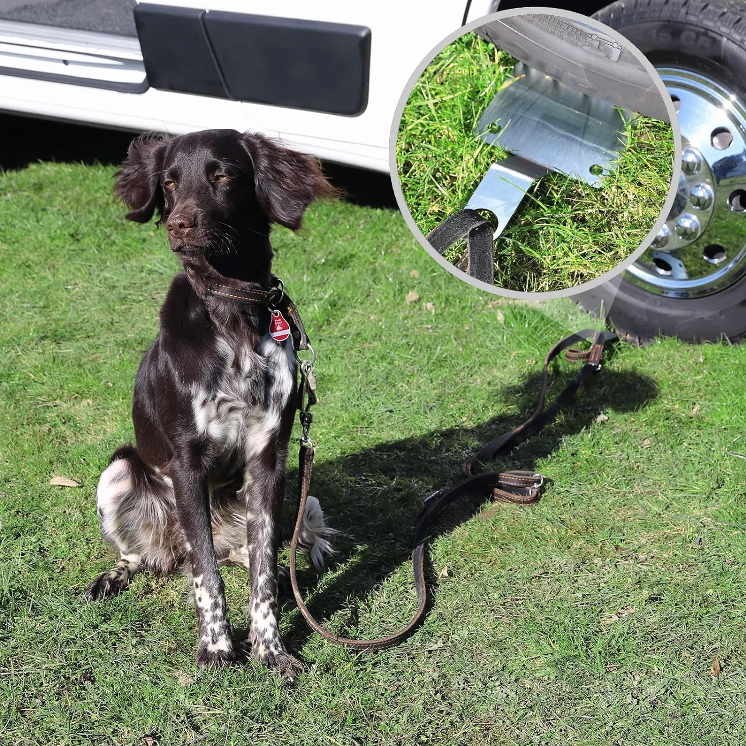 Ancoraggio a terra per cani staccabile, piastra di carico per alunni, dogholder, ancoraggio per cani in acciaio (1)