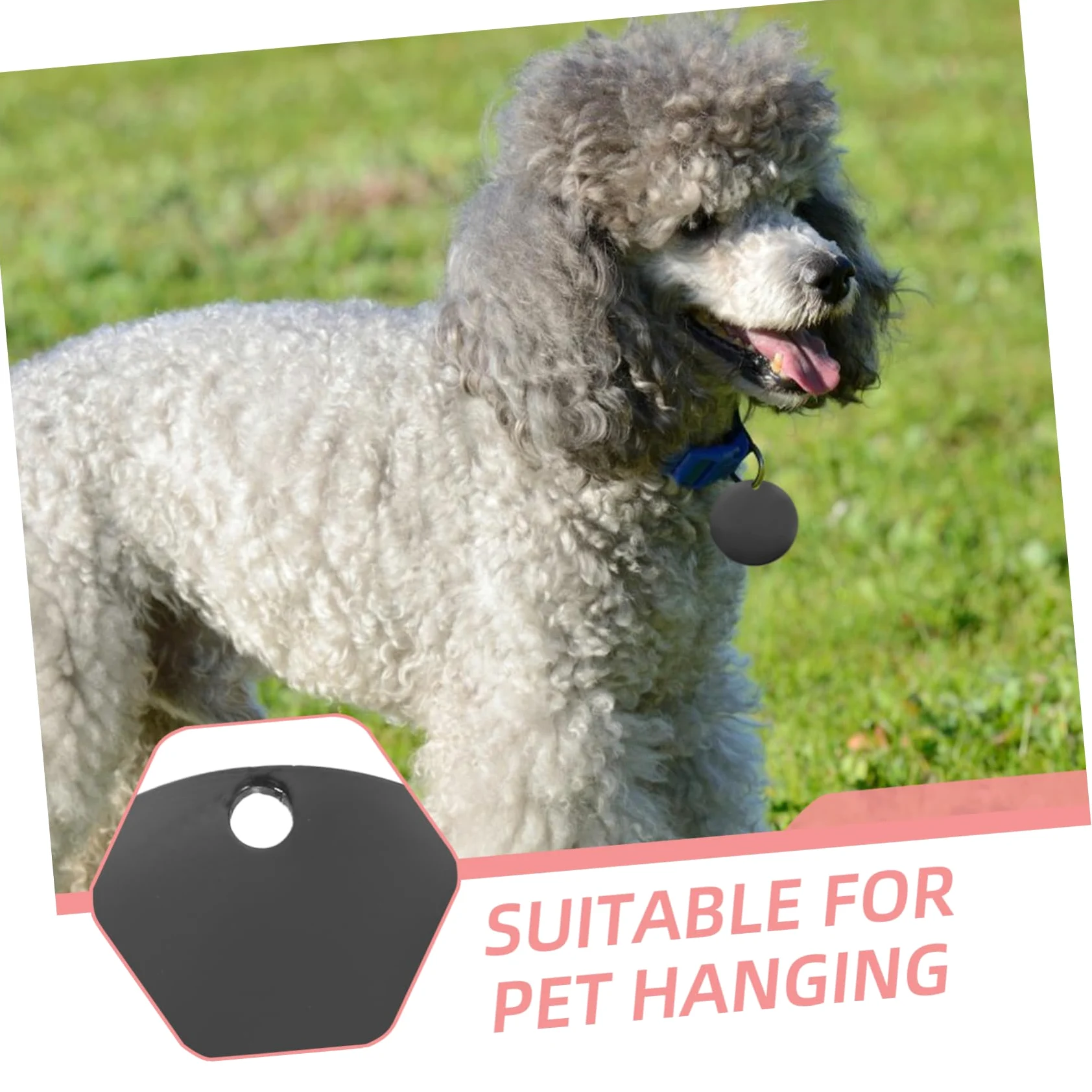 Angoily 4 Set Di Animali Domestici Piccola Etichetta Chiave Spazi Vuoti Per Medagliette Per Cani Targhette Identificative Del Cane Tag Del Cane Nero Acciaio Inossidabile 6 Pezzi*4