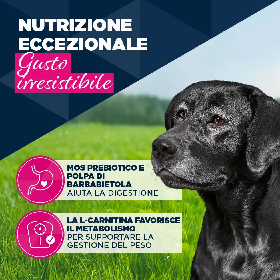 EUKANUBA Cibo umido per cani senior con tacchino e carote, cibo umido premium senza cereali per cani anziani, 6 x 400 g lattine