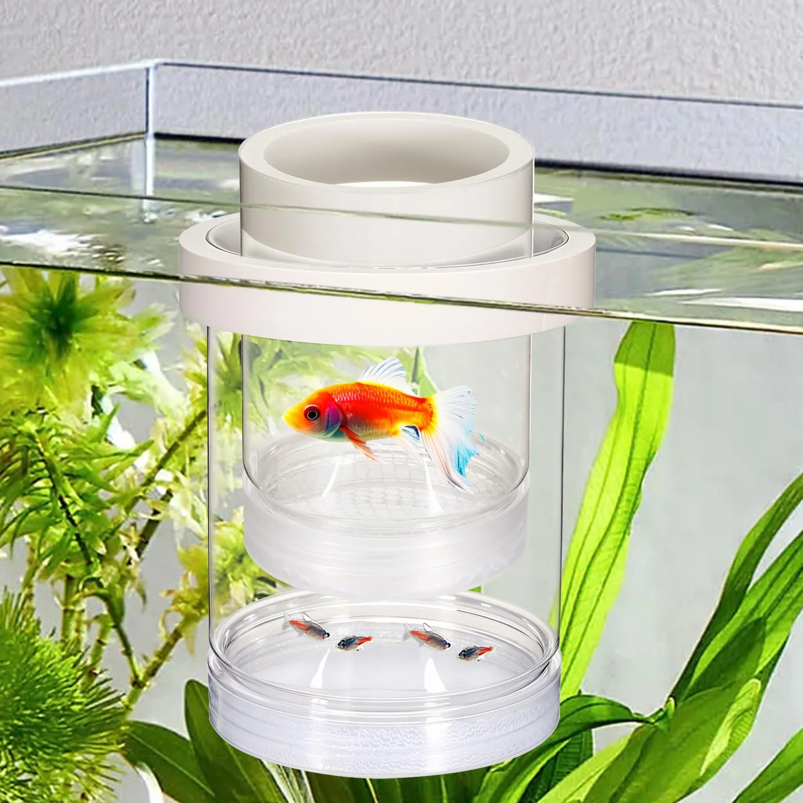 Scatola di allevamento per acquario, scatola di allevamento in plastica galleggiante per acquario separatore di pesci per acquario trasparente incubatrice di isolamento per gamberetti Betta Clownfish