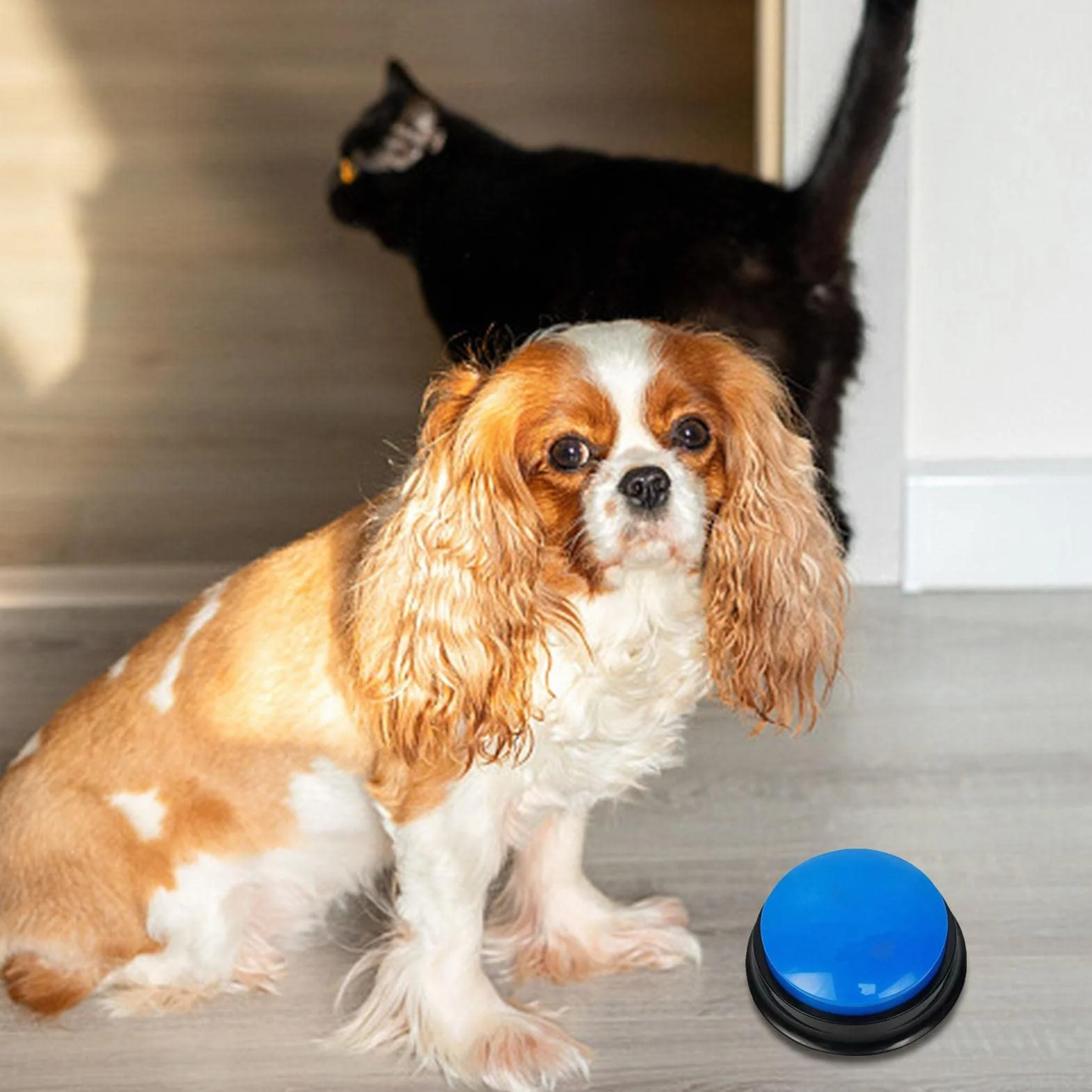 Teksome Pulsante Registrabile - Pulsanti parlanti registrabili per Cani | Cicalino di addestramento al comportamento degli Animali Domestici, Registrazione e Riproduzione di 30 Secondi, Regalo