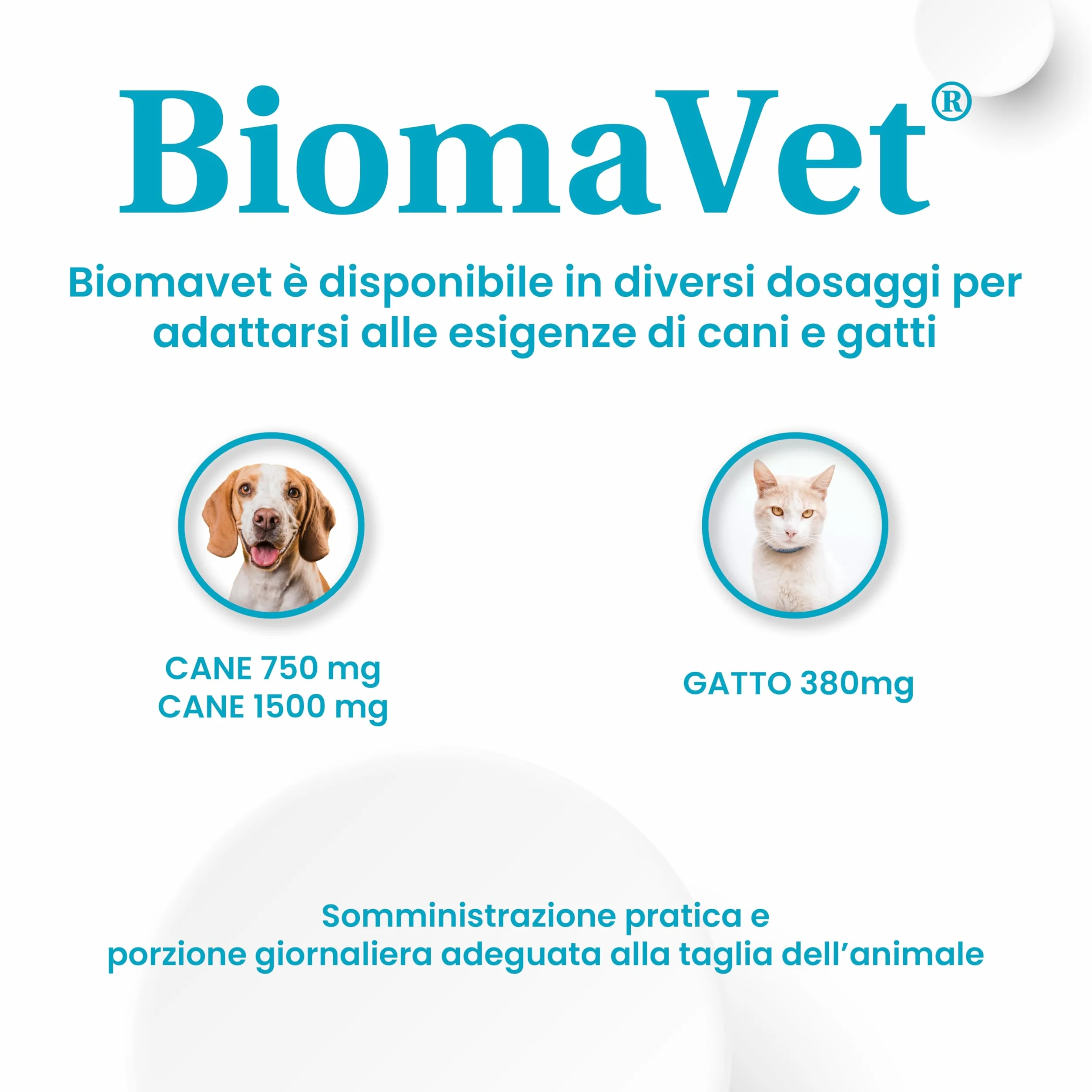 BiomaVet Probiotici Gatto per il Benessere Intestinale - Probiotici per Gatti con Formulazione Multiceppo, Lattoferrina e Vitamina B12-12 Compresse da 380mg