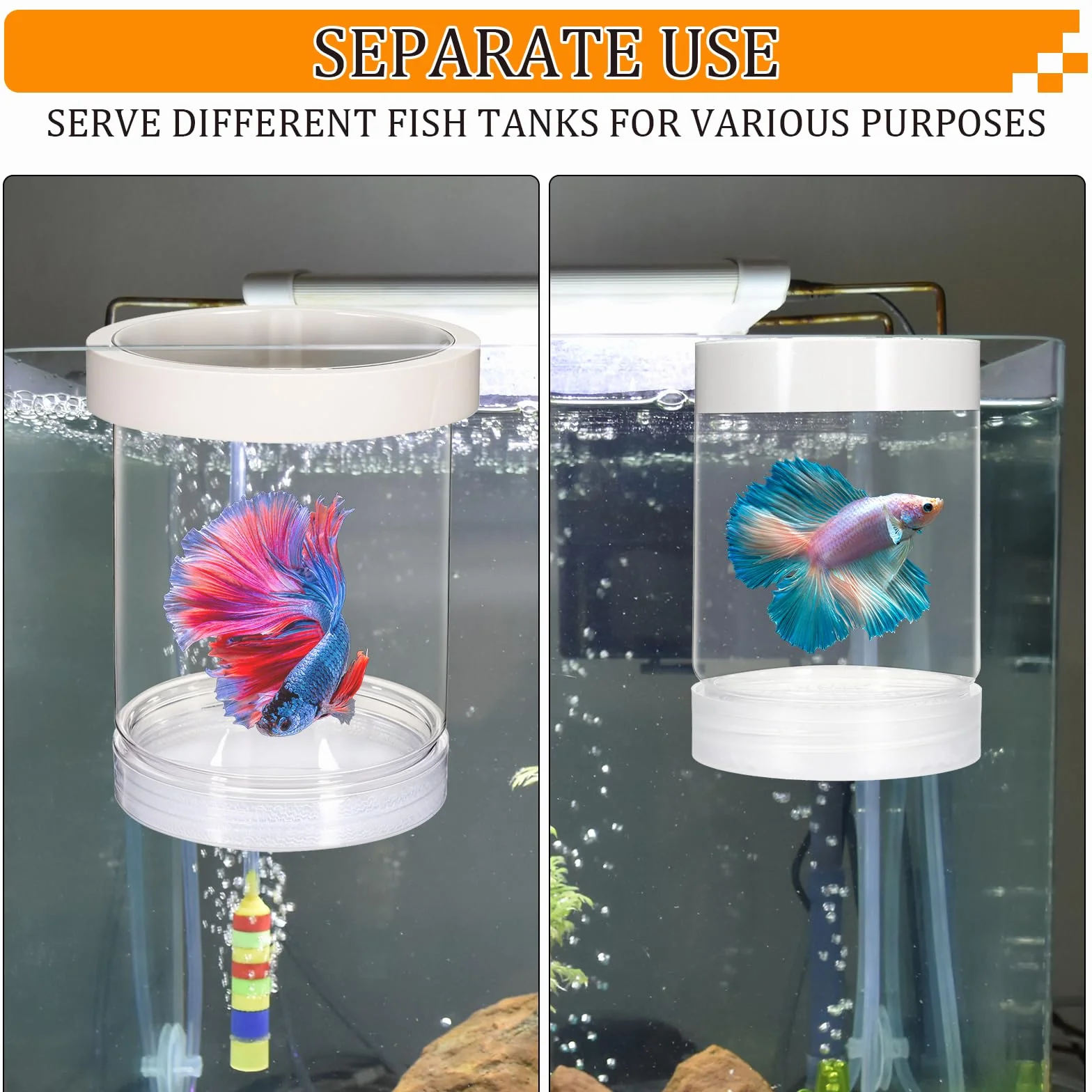 Scatola di allevamento per acquario, scatola di allevamento in plastica galleggiante per acquario separatore di pesci per acquario trasparente incubatrice di isolamento per gamberetti Betta Clownfish
