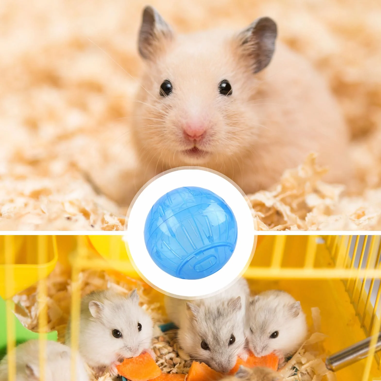 Palla per esercizi per criceti, ruota da jogging sicura per piccoli animali domestici, palla trasparente con fori di ventilazione, divertente giocattolo per fitness, ideale per criceti, gerbilli e