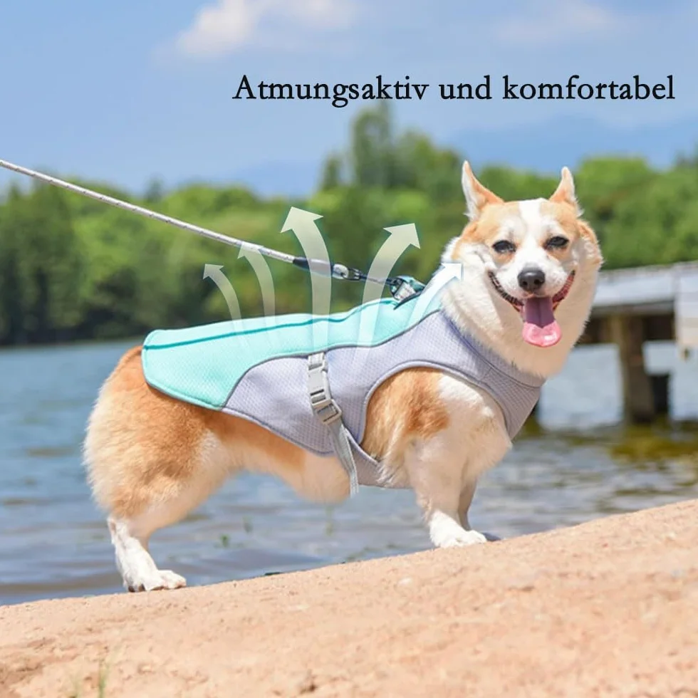 Voarge Gilet Rinfrescante per Cani, Giubbotto Leggero, Giubbotto Riflettente e Sicurezza per Cani di Piccola e Media Taglia, Protezione UV, Taglia S