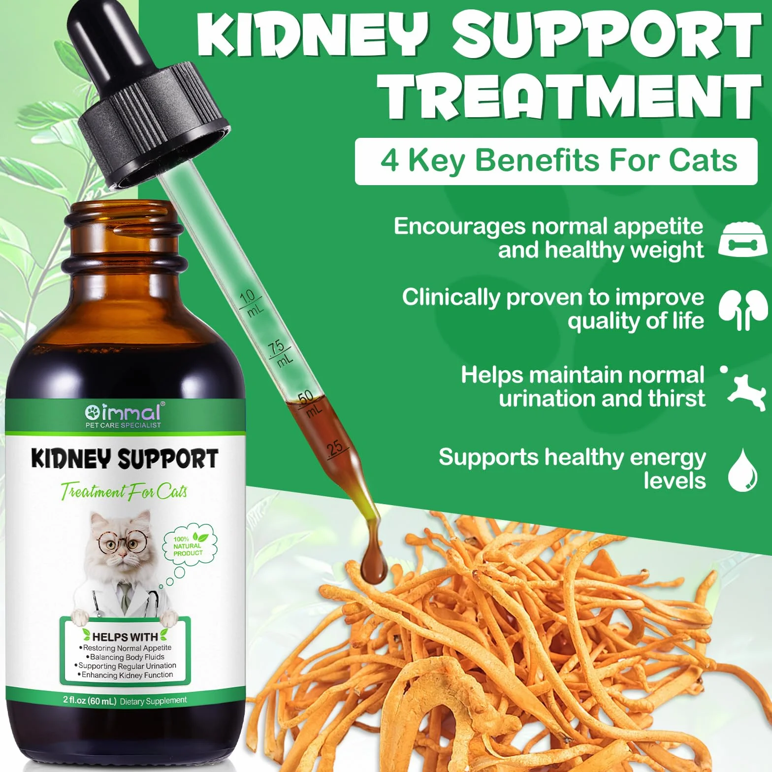 Supporto renale per gatti - Supporta la minzione regolare migliorando la funzione renale Gocce liquide naturali di supporto renale per gatti 60ml - Ripristino del normale appetito e bilanciamento dei